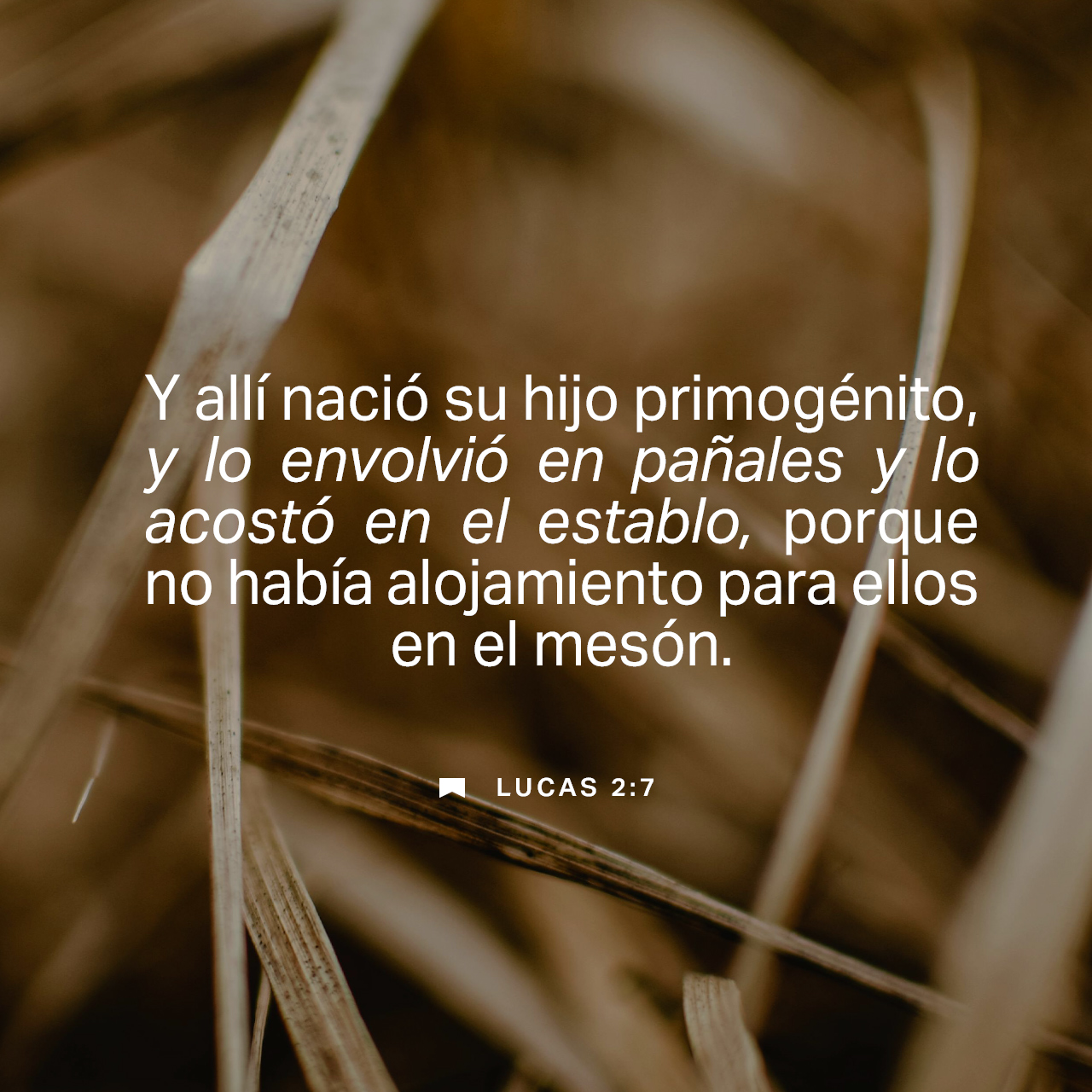 22 de diciembre - Plaza