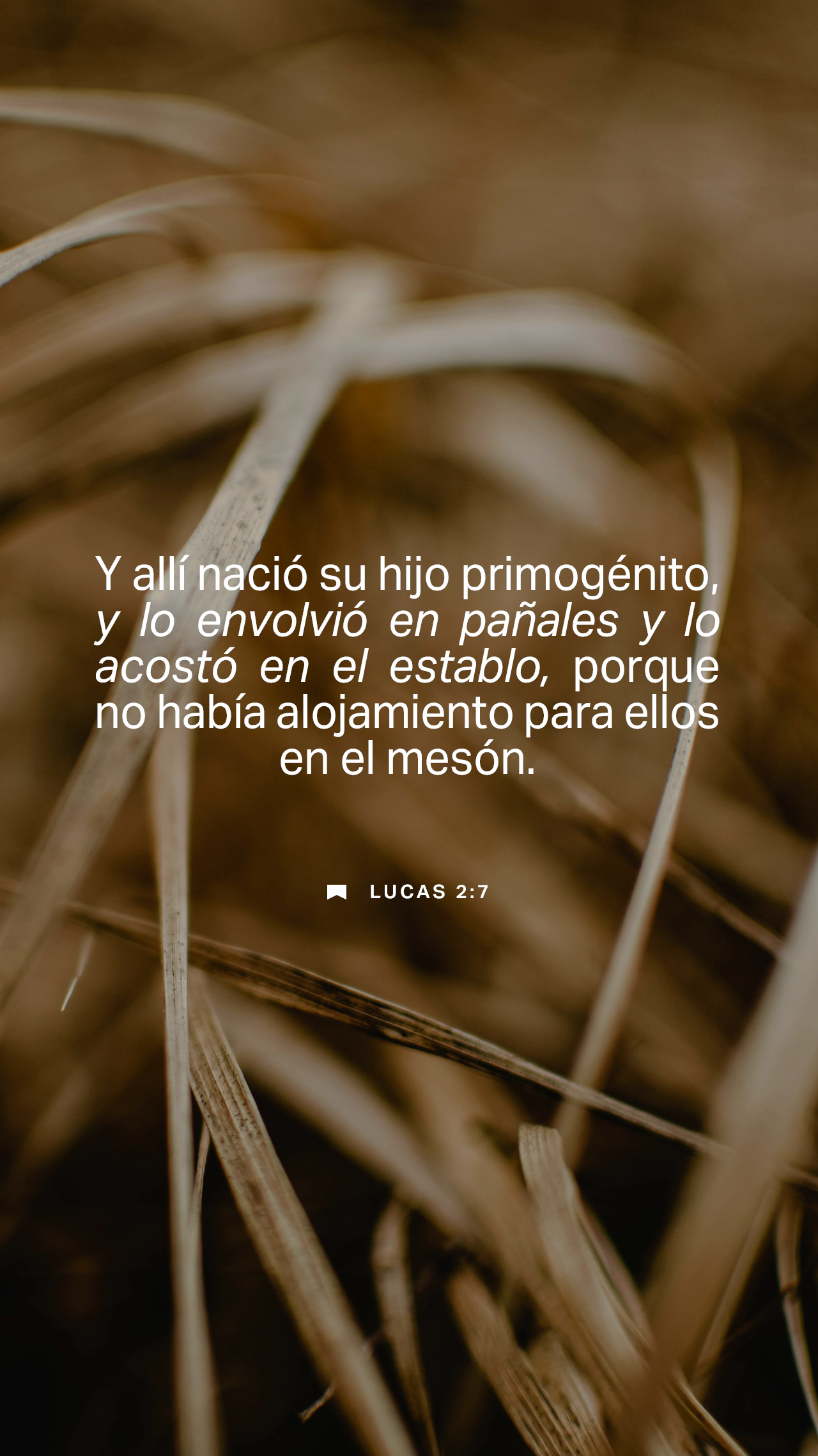 22 de diciembre - Vertical