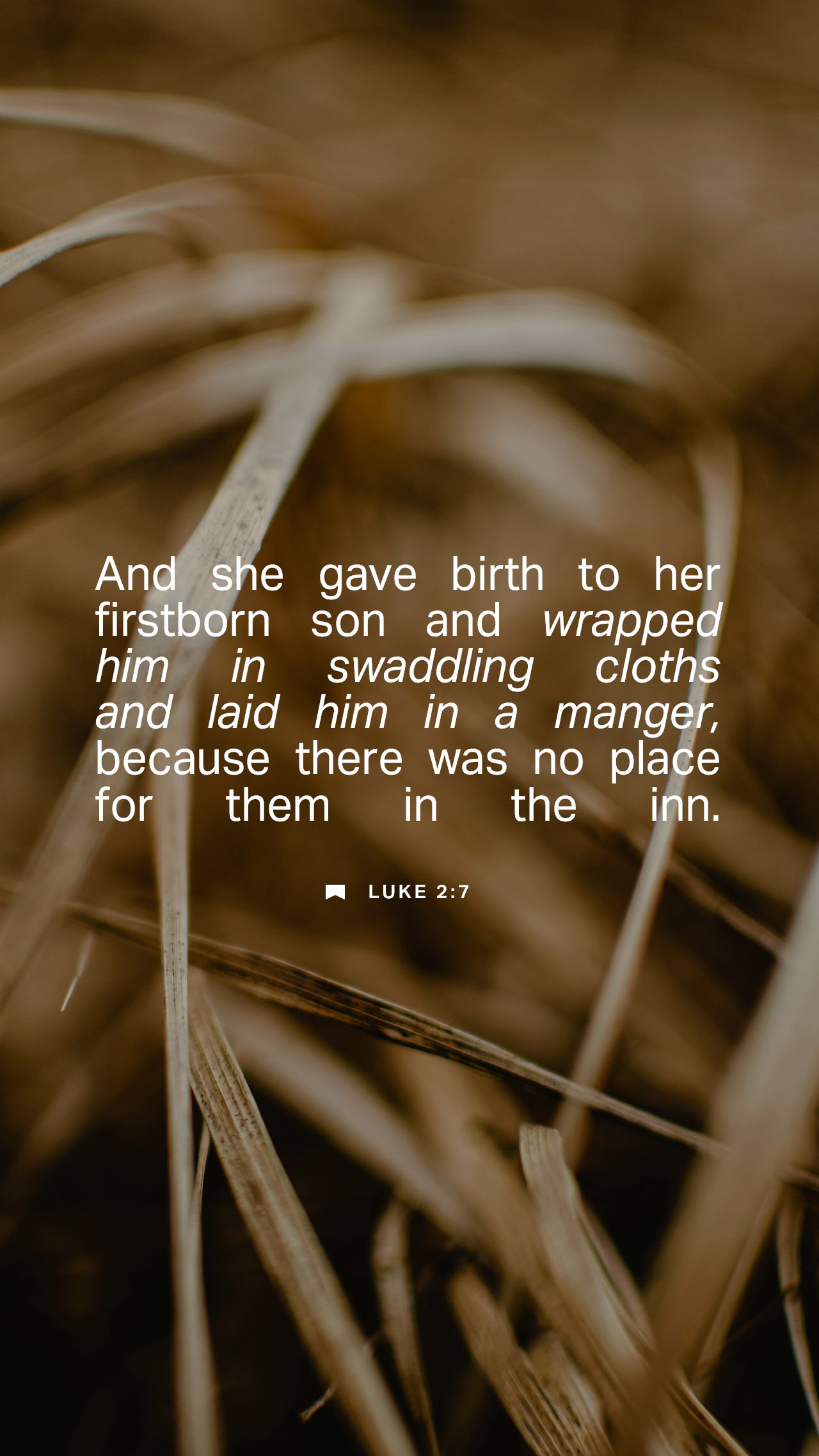 December 22 - Vertical