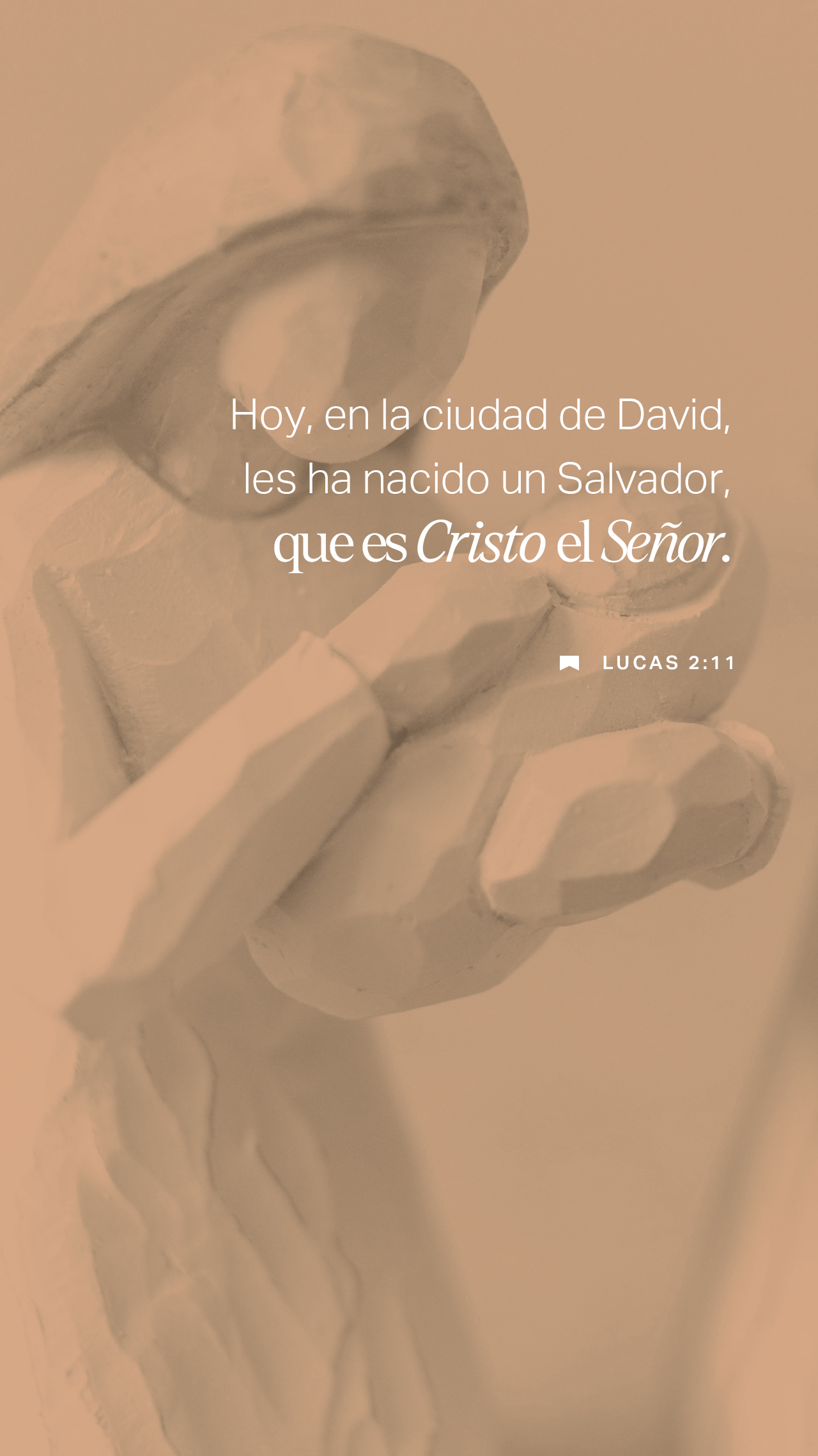 24 de diciembre - Vertical