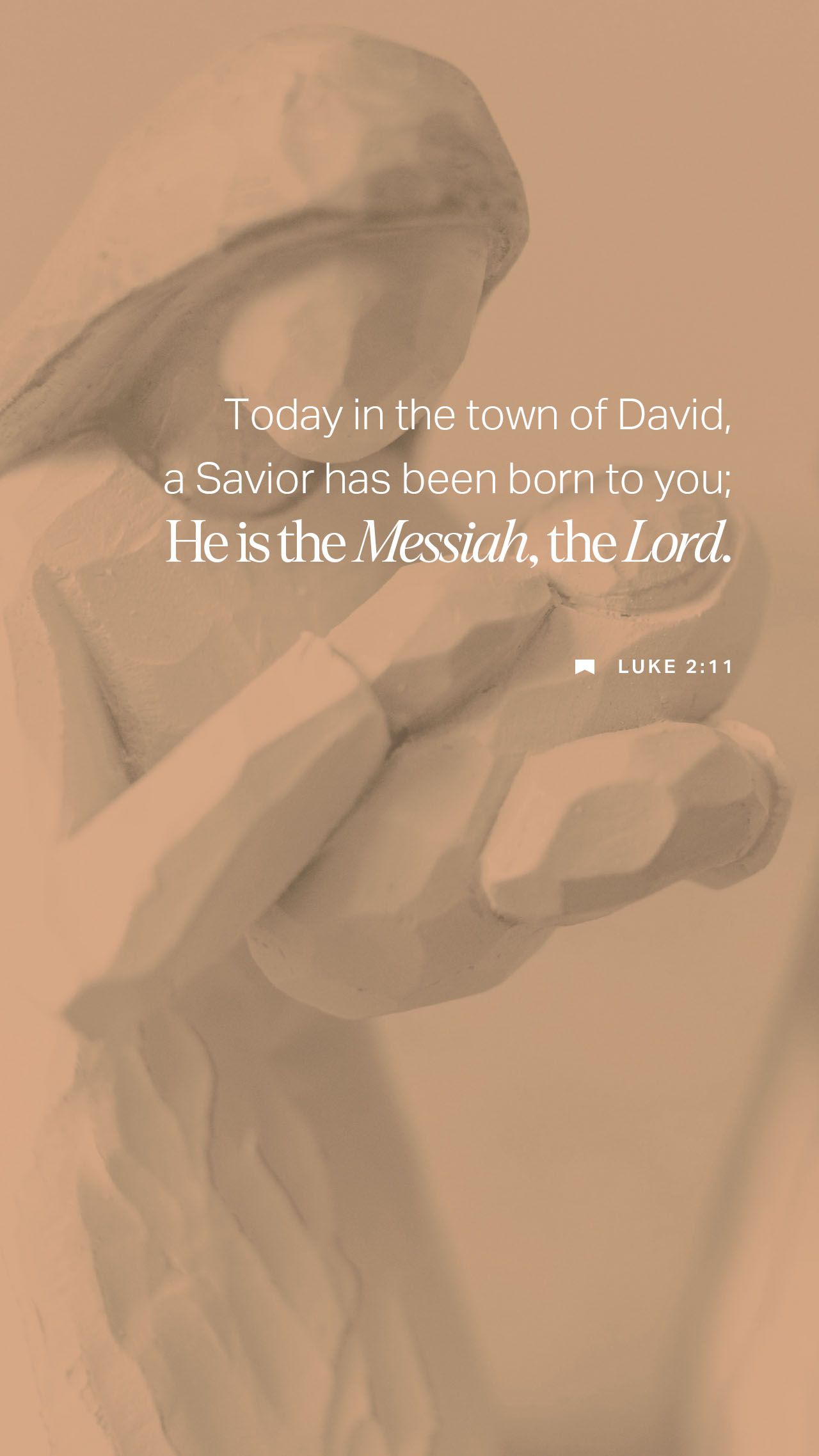 December 24 - Vertical