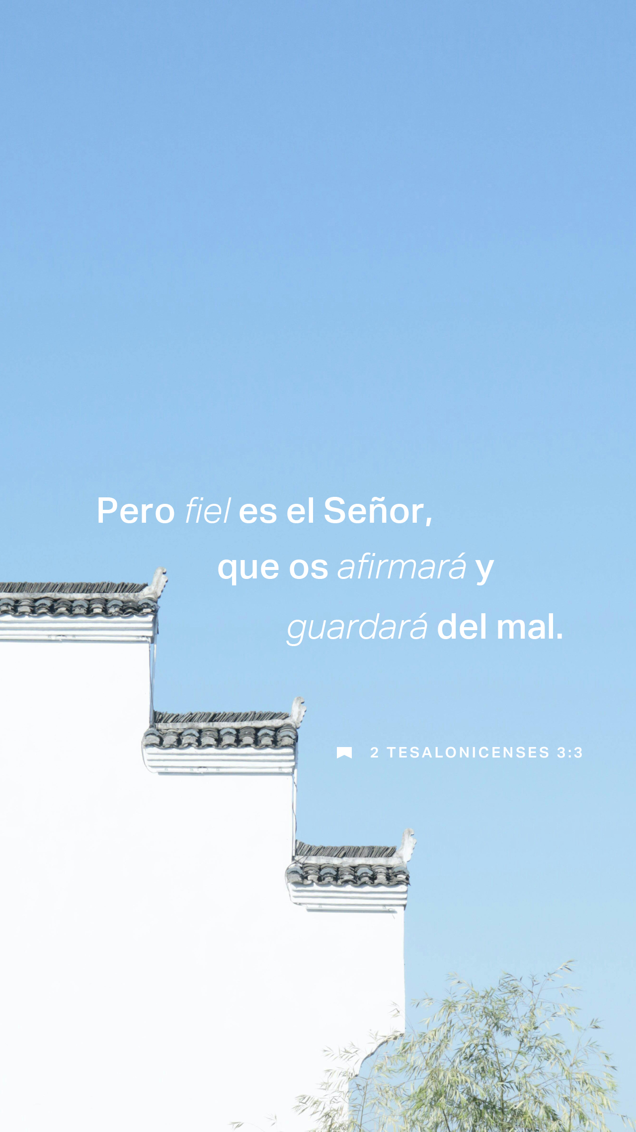 26 de diciembre - Vertical