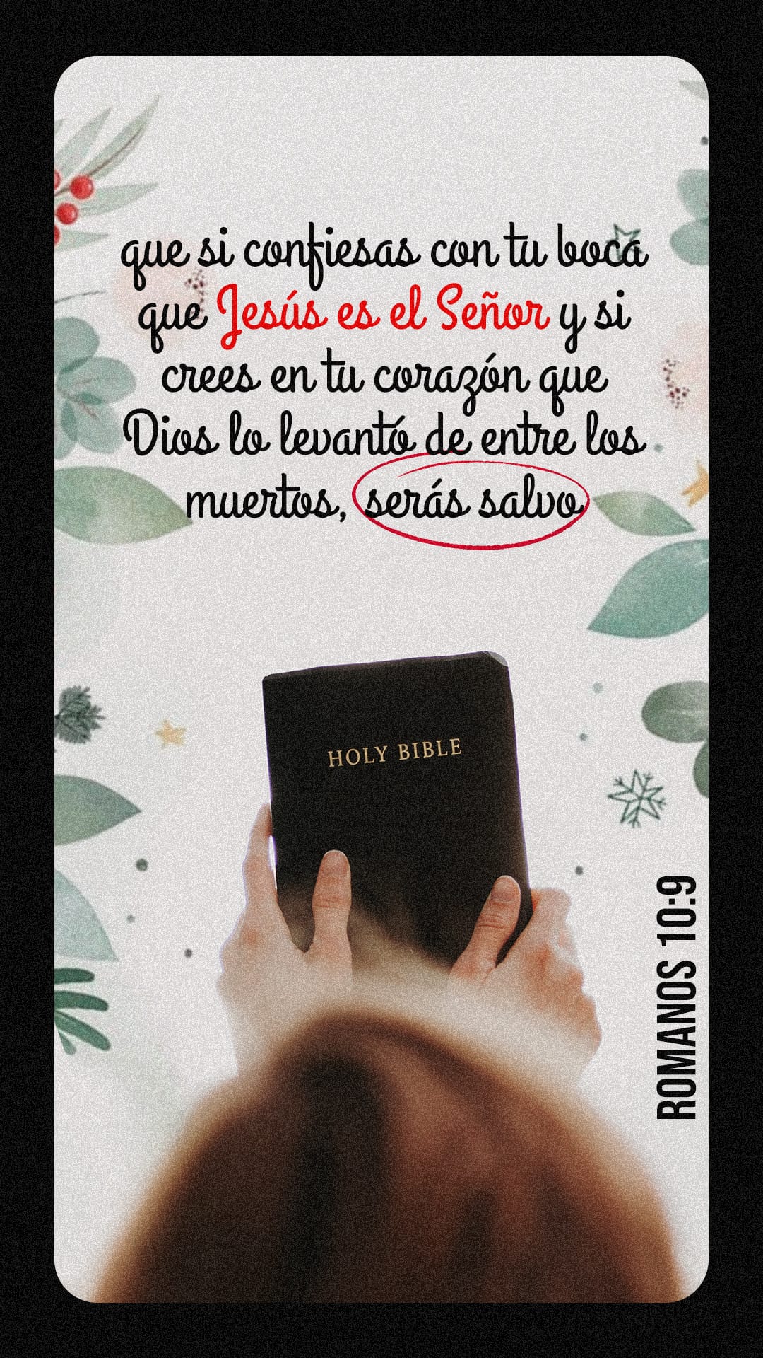 27 de diciembre - Vertical