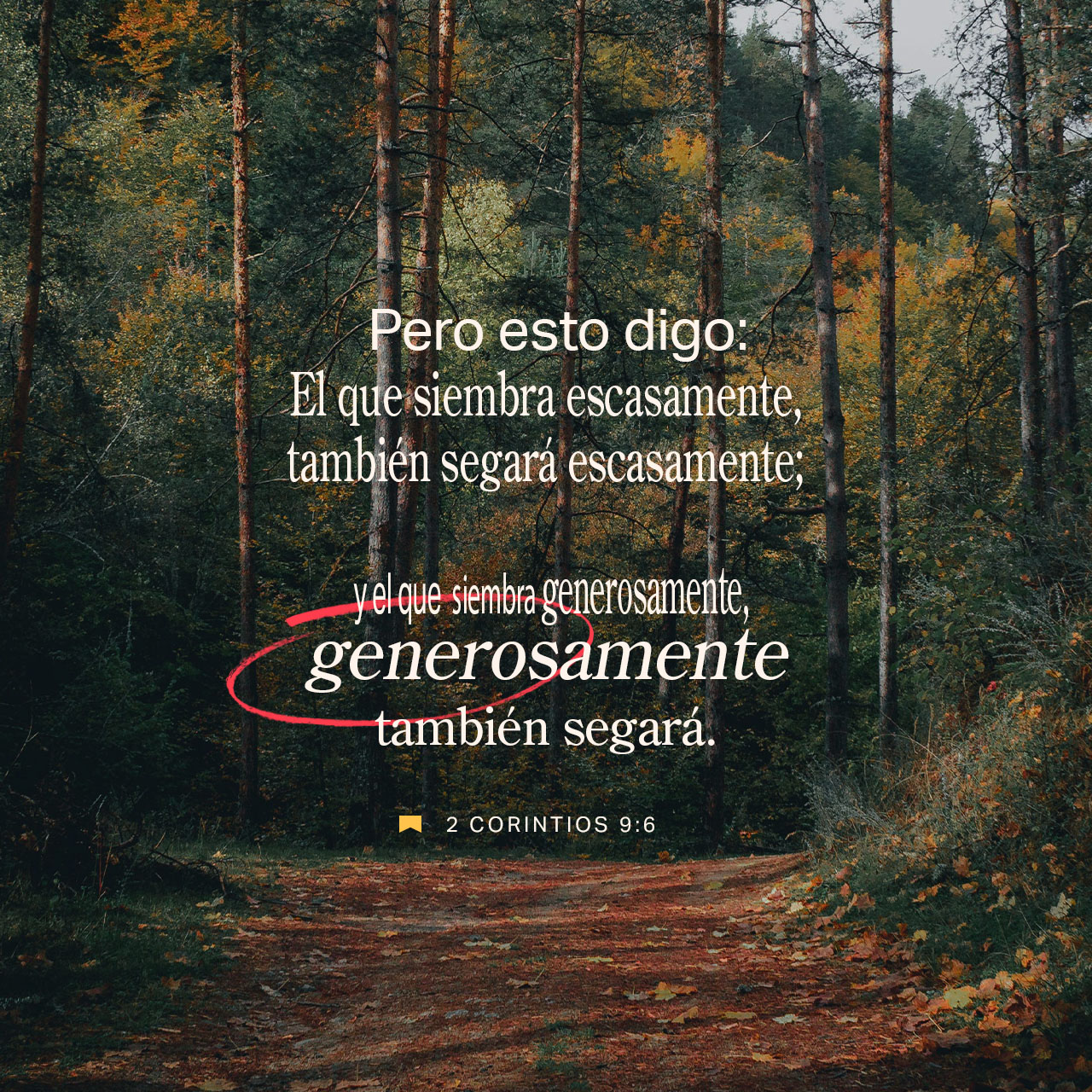 28 de diciembre - Plaza