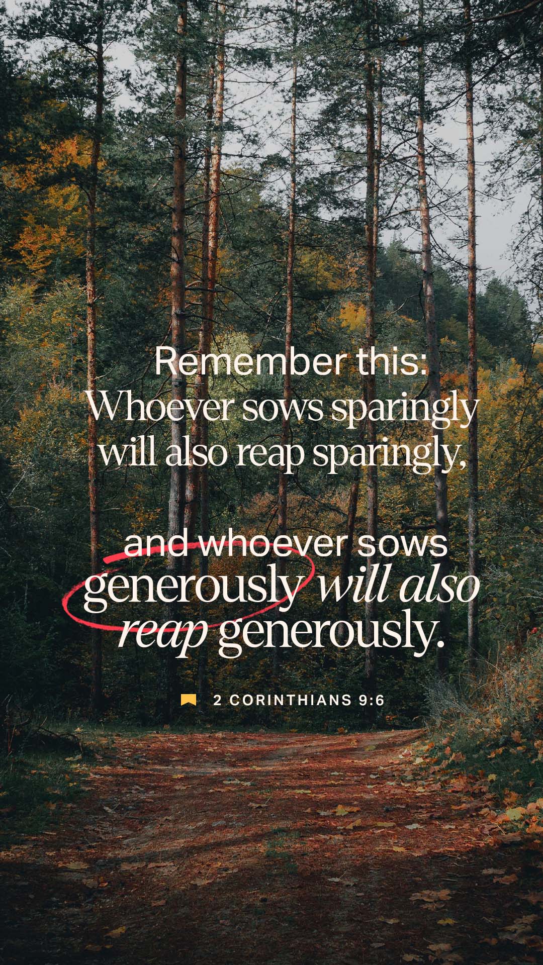 December 28 - Vertical