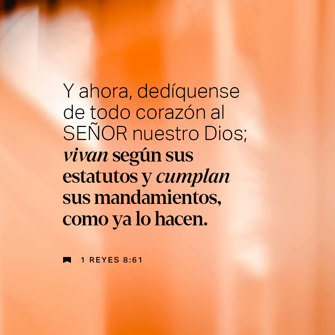 29 de diciembre - Plaza