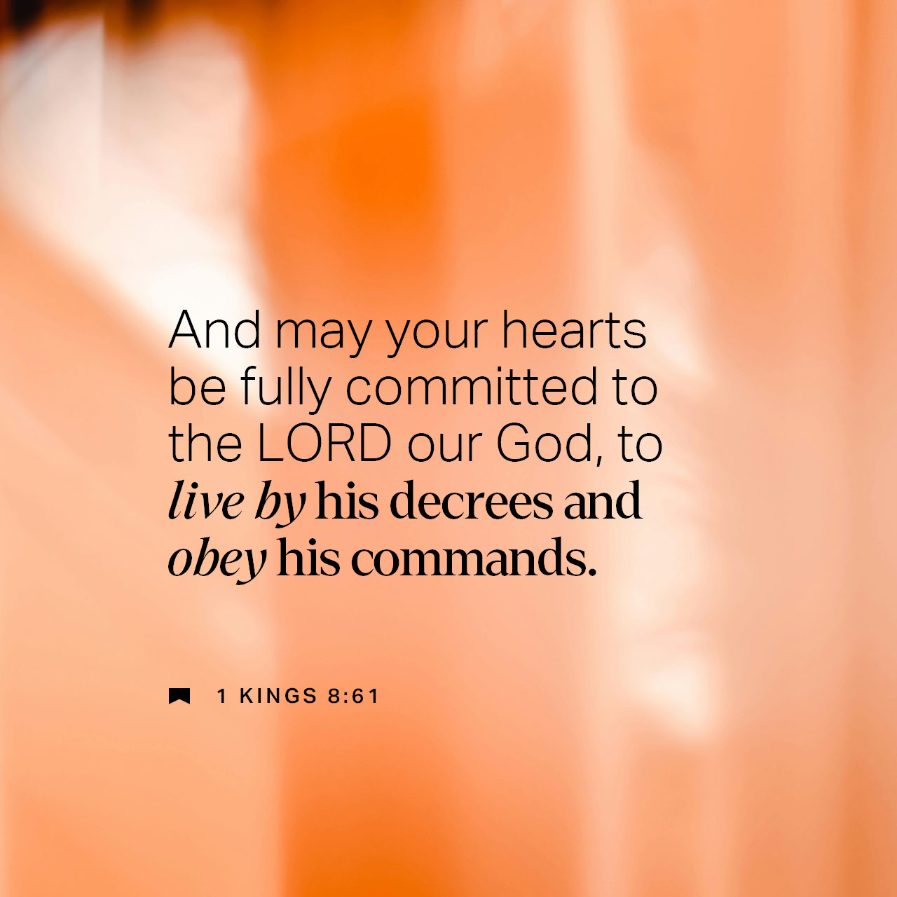 December 29 - Square