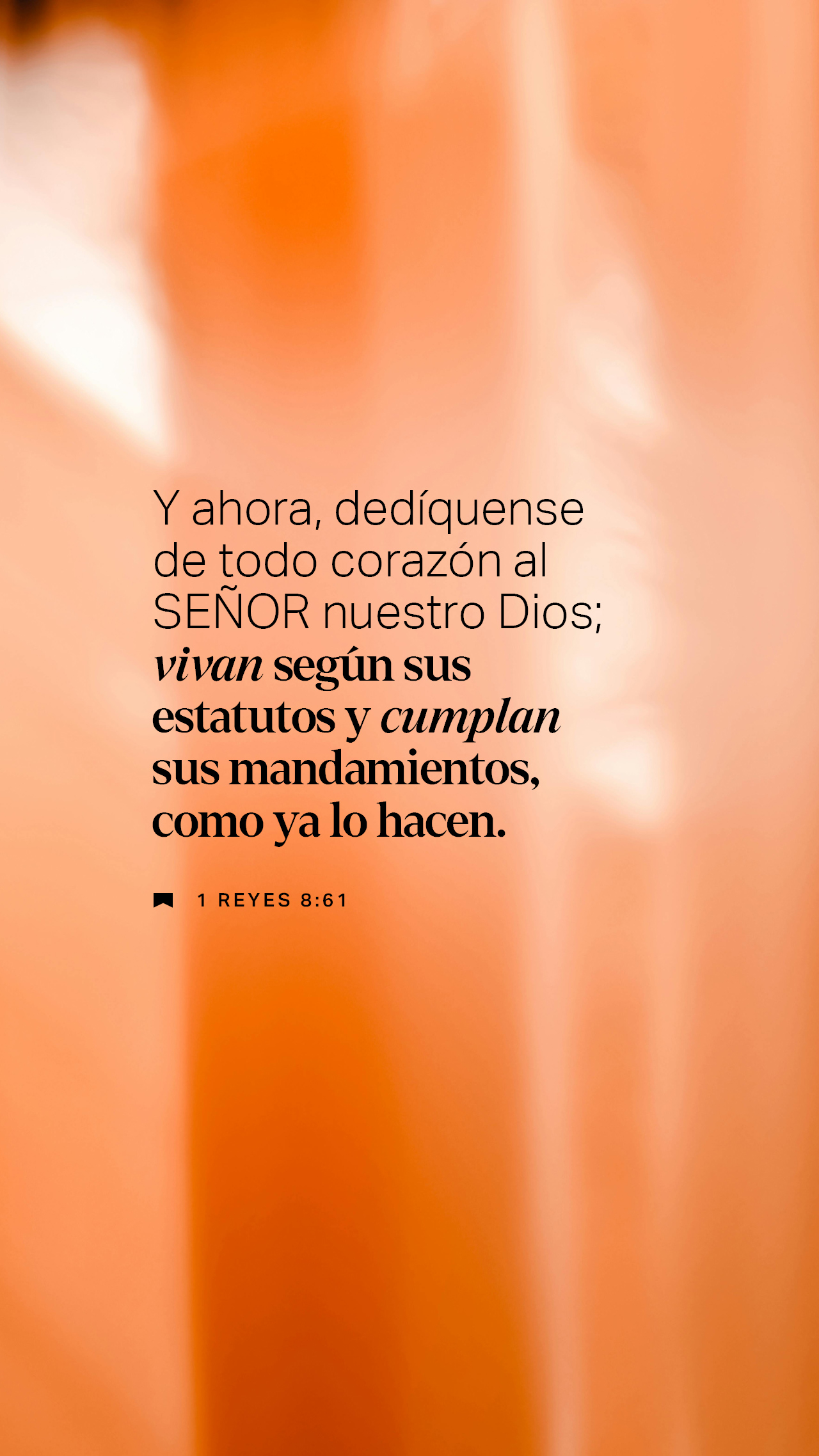 29 de diciembre - Vertical