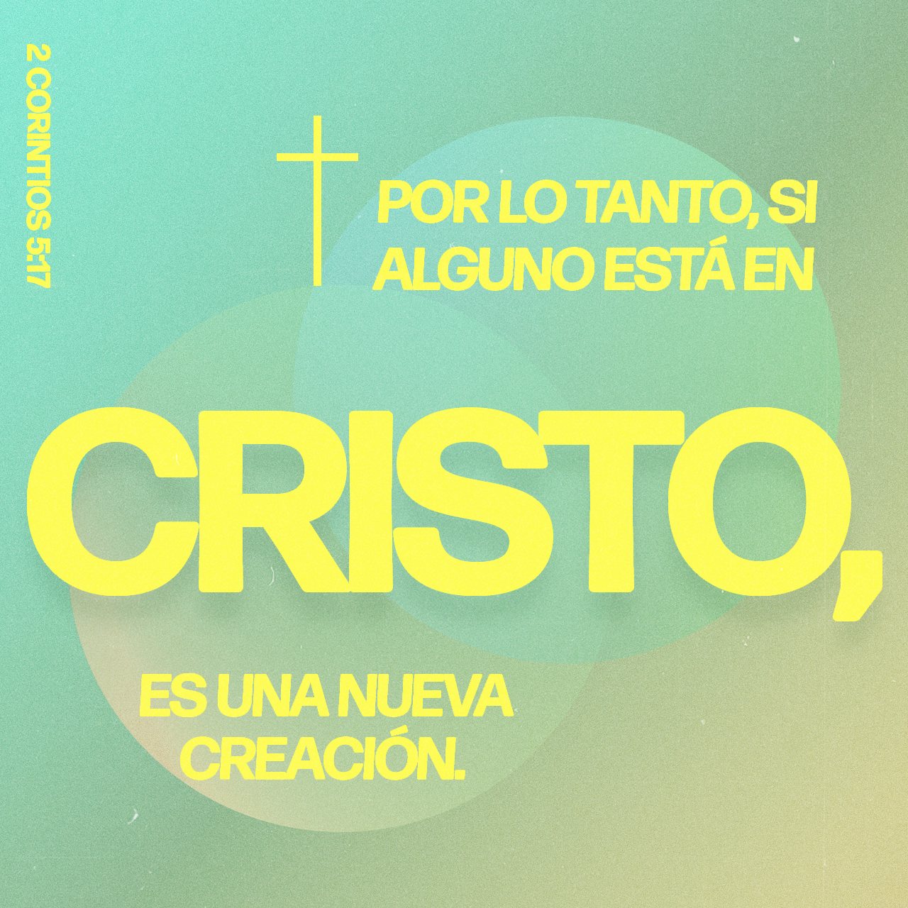 30 de diciembre - Plaza