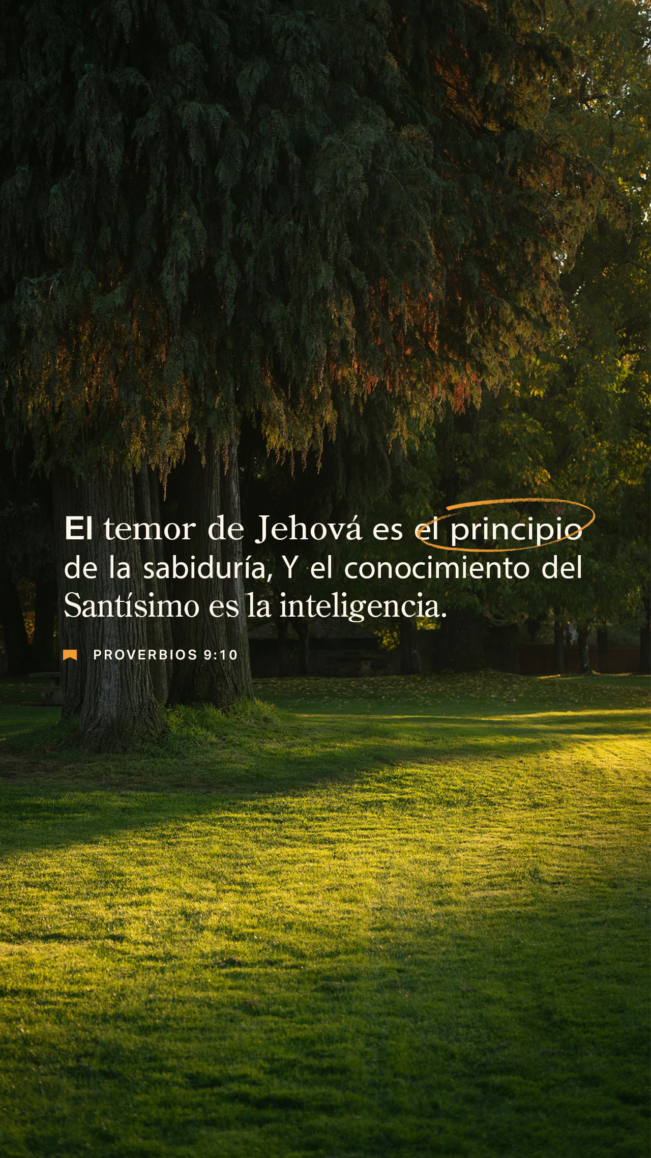 07 de julio - Vertical