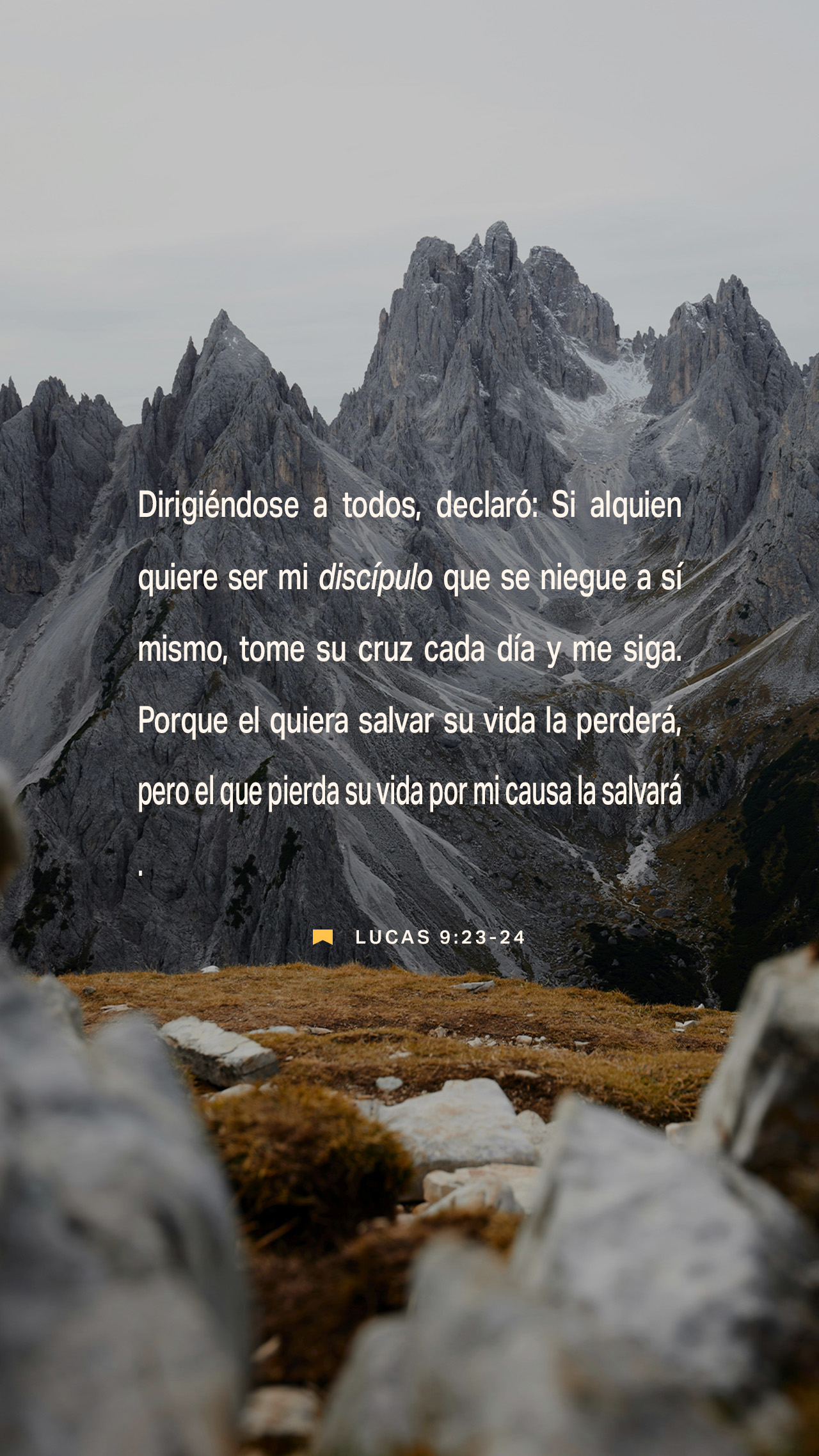 16 de julio - Vertical