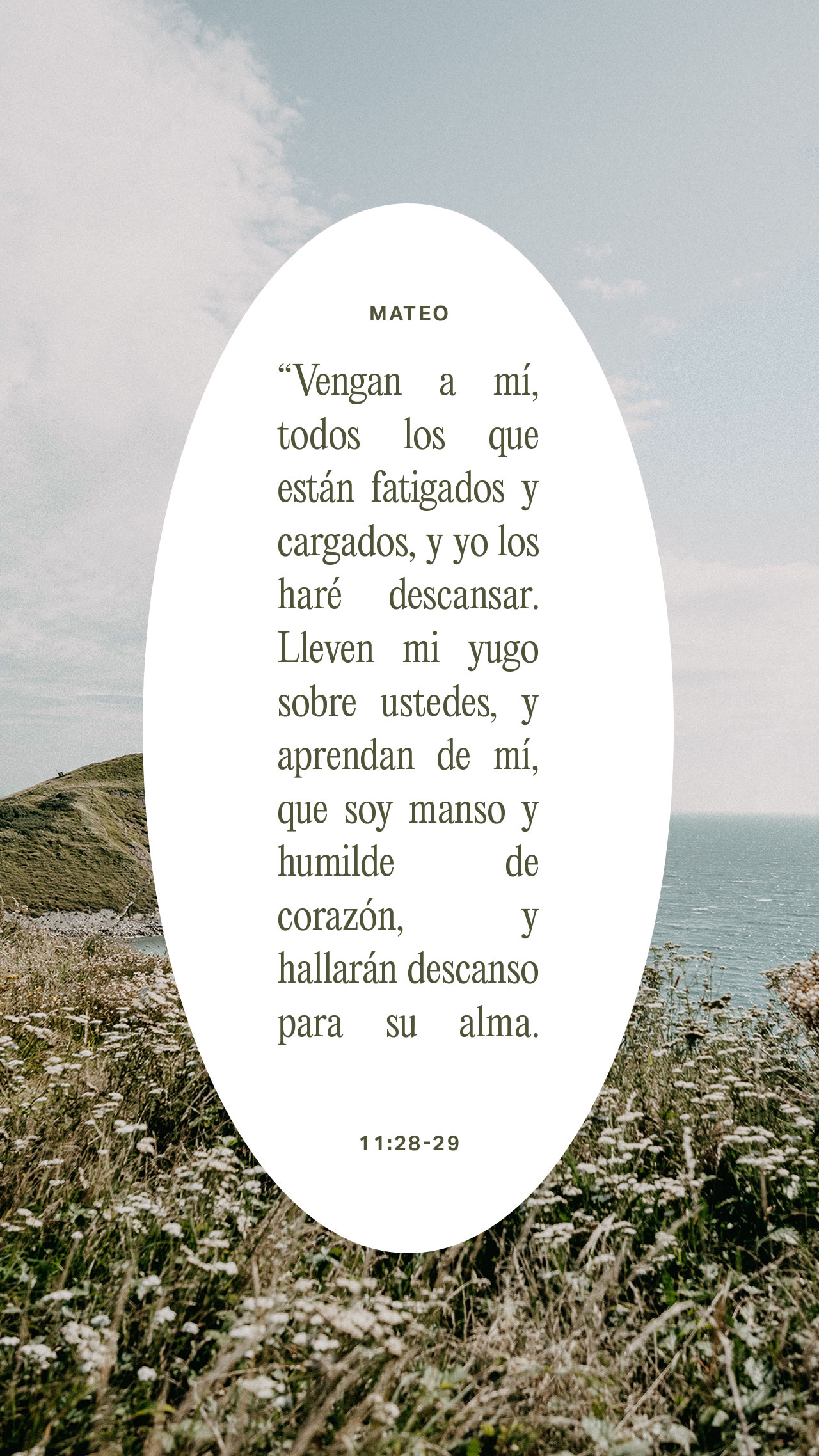 17 de julio - Vertical