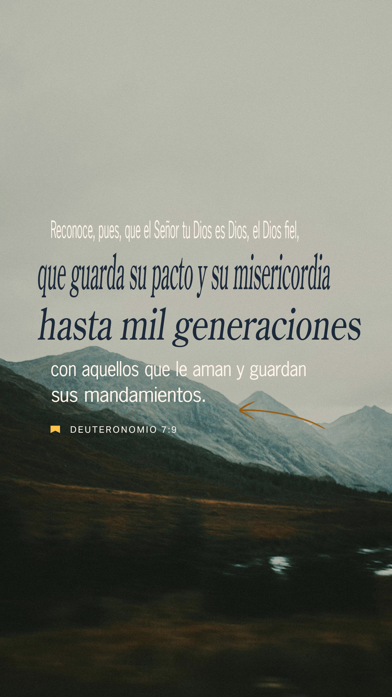 27 de julio - Vertical