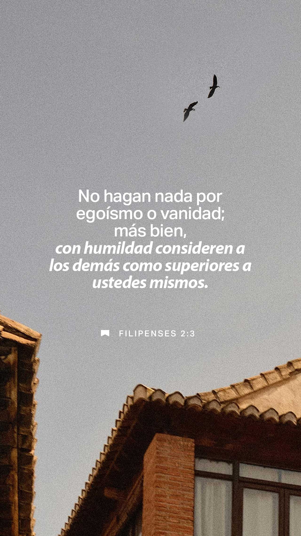 31 de julio - Vertical