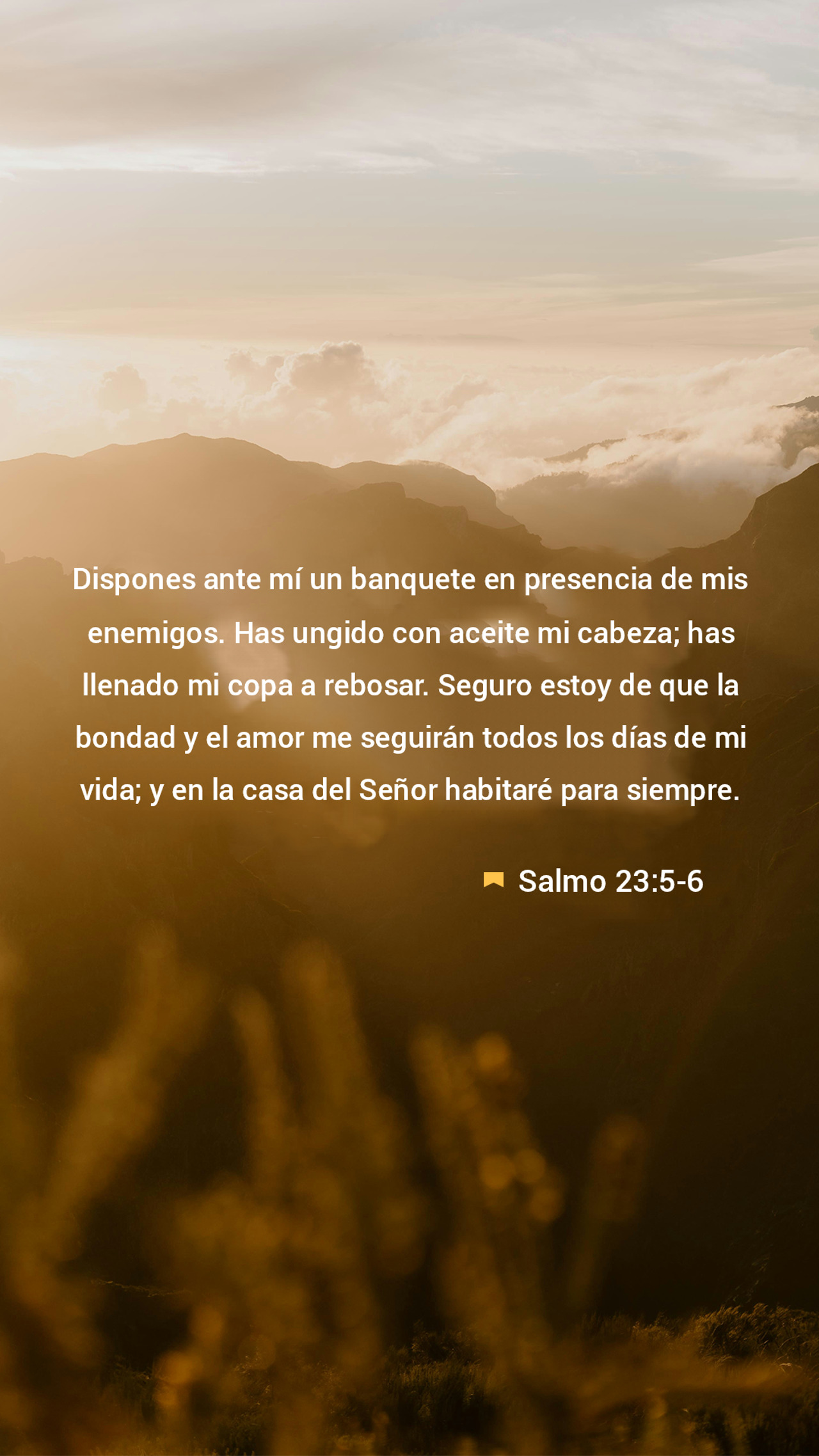 04 de junio - Vertical