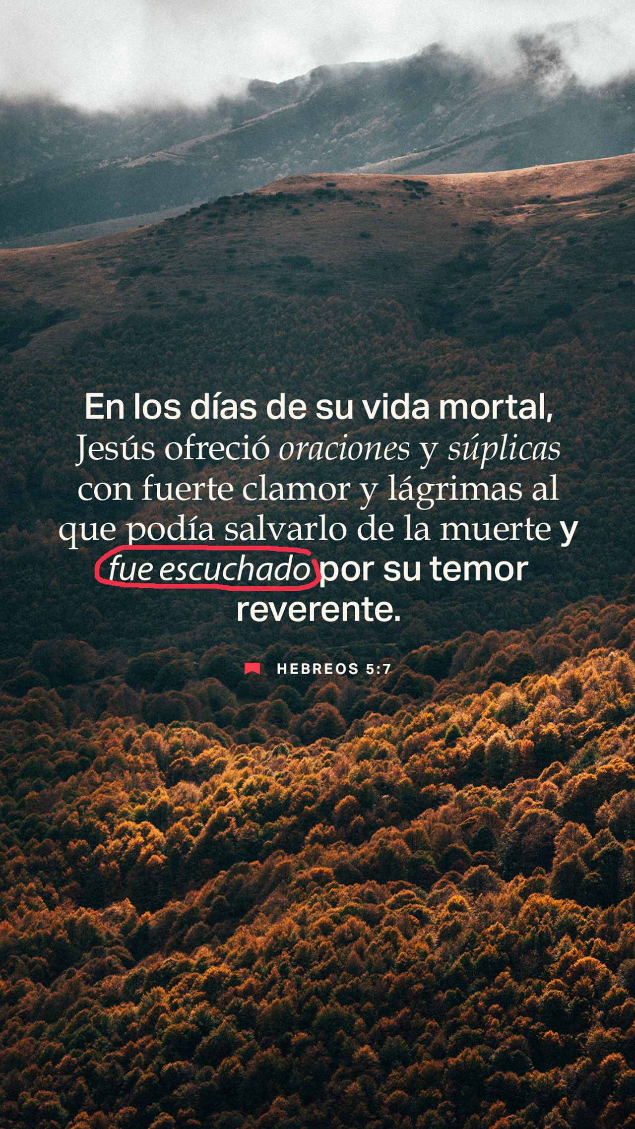 18 de junio - Vertical