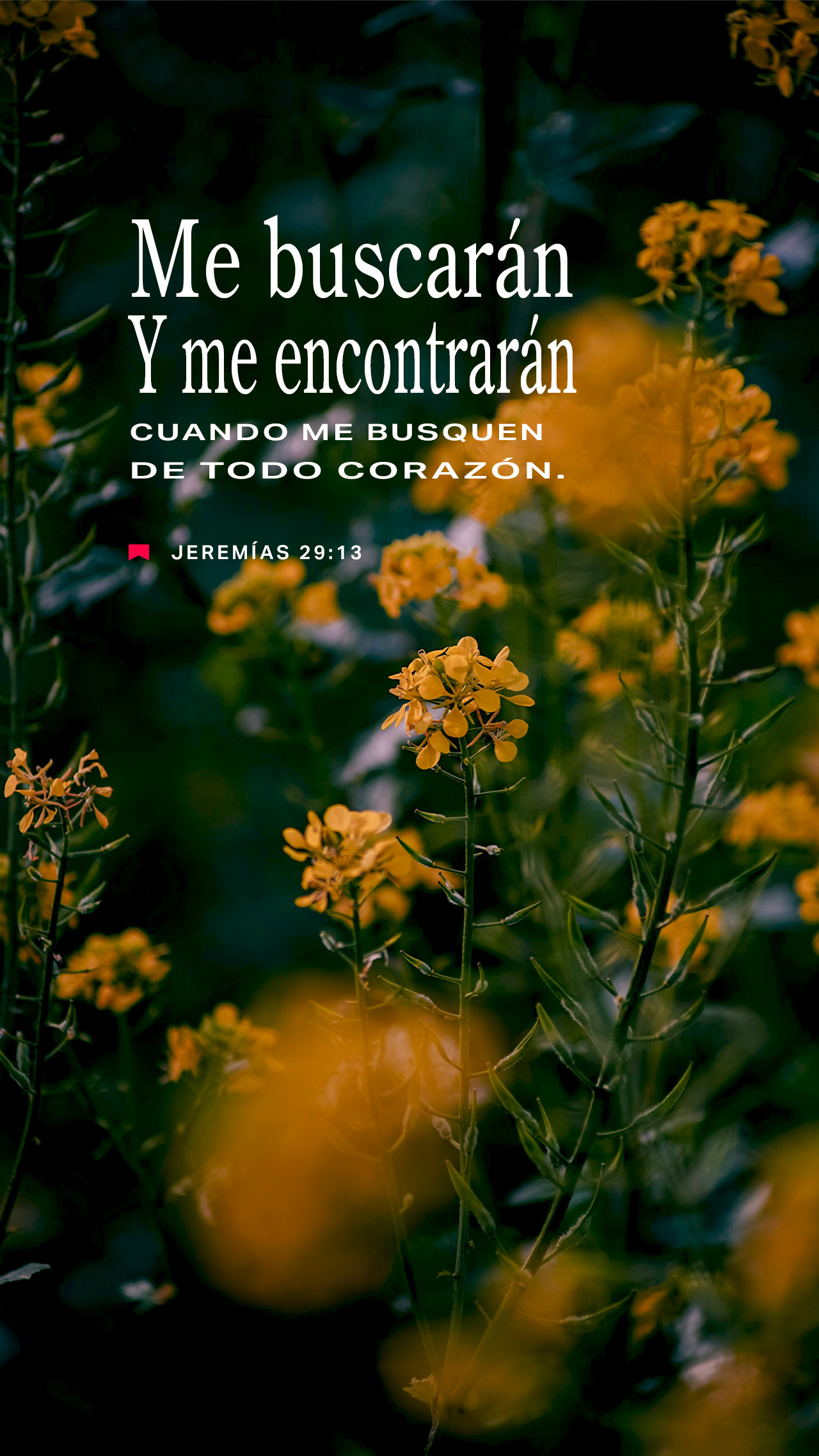 01 de noviembre - Vertical