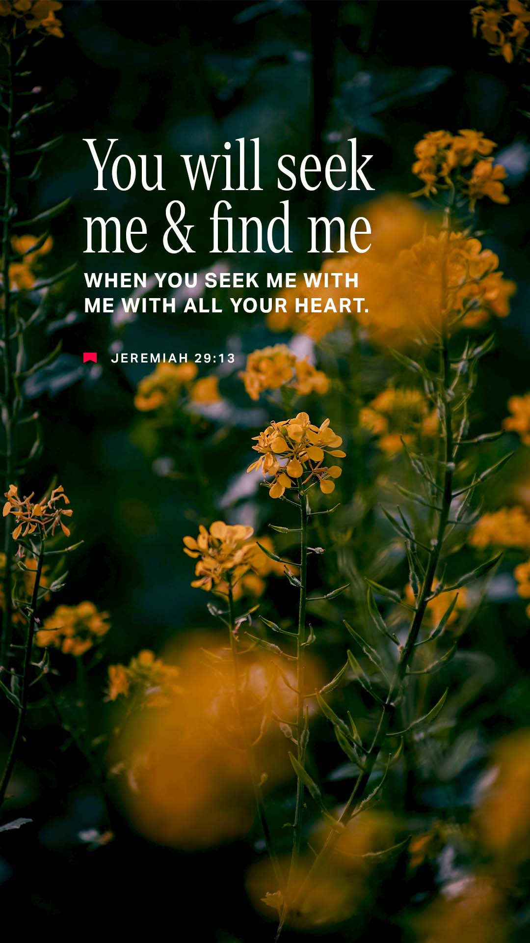 November 01 - Vertical