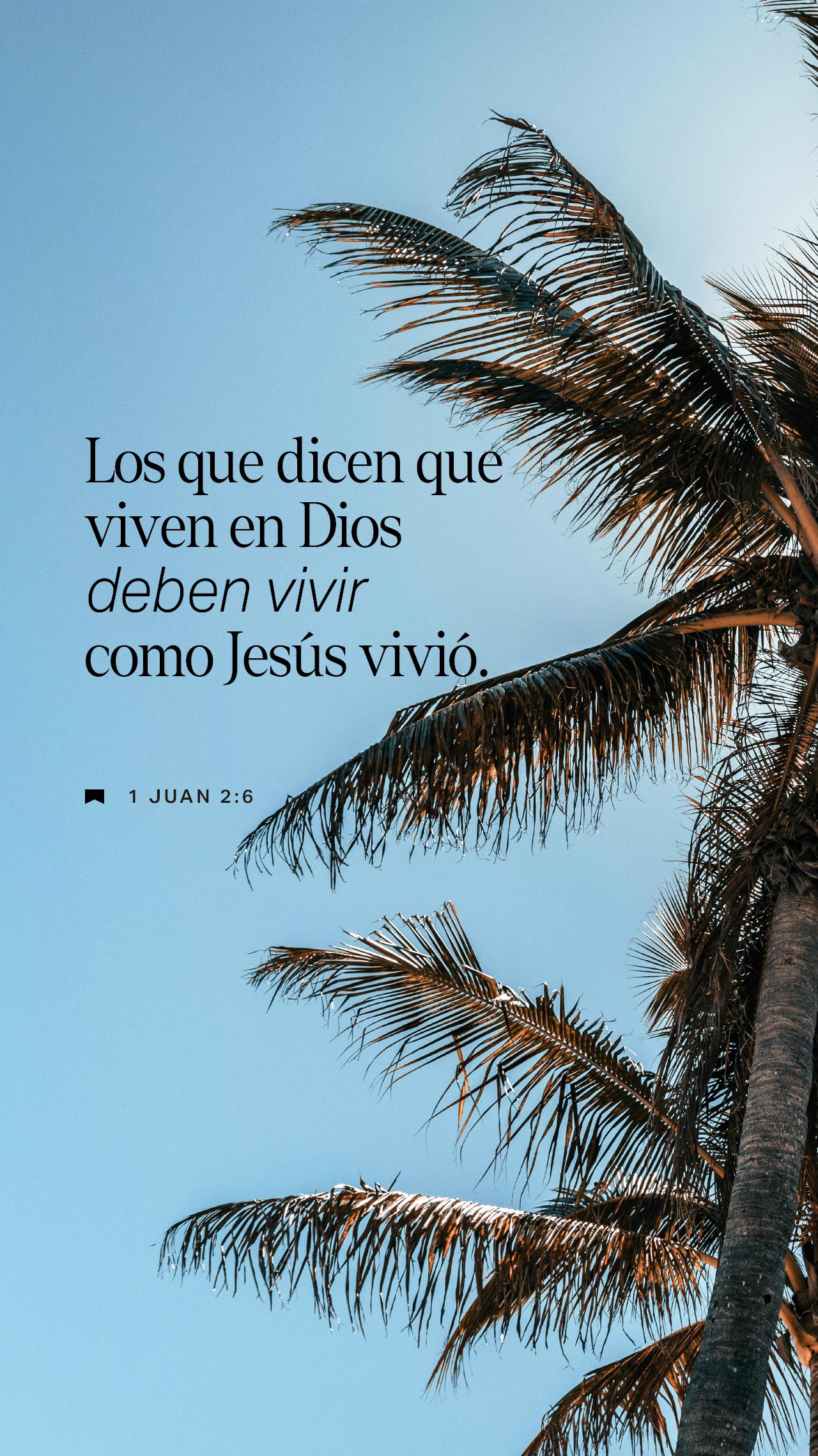 04 de noviembre - Vertical