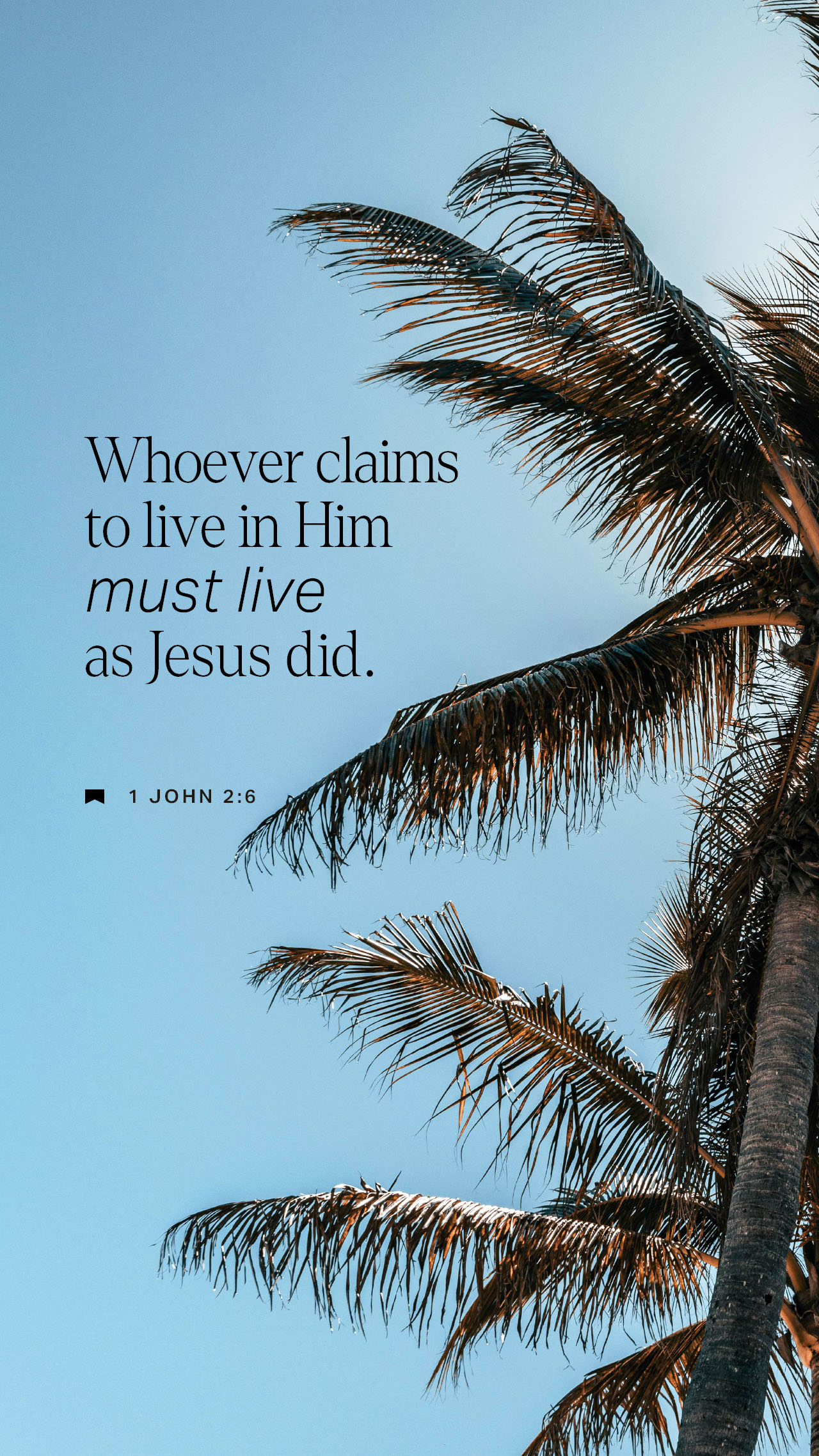 November 04 - Vertical