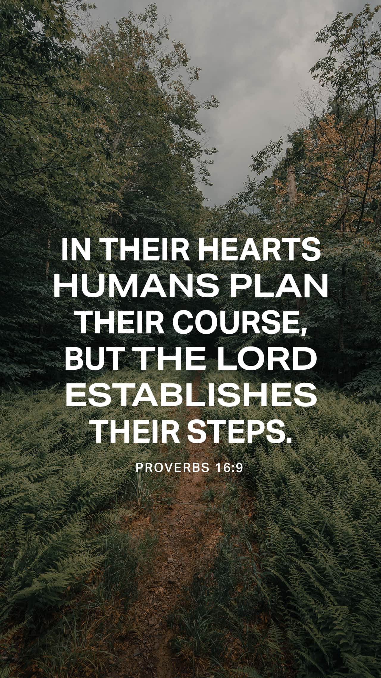 November 05 - Vertical