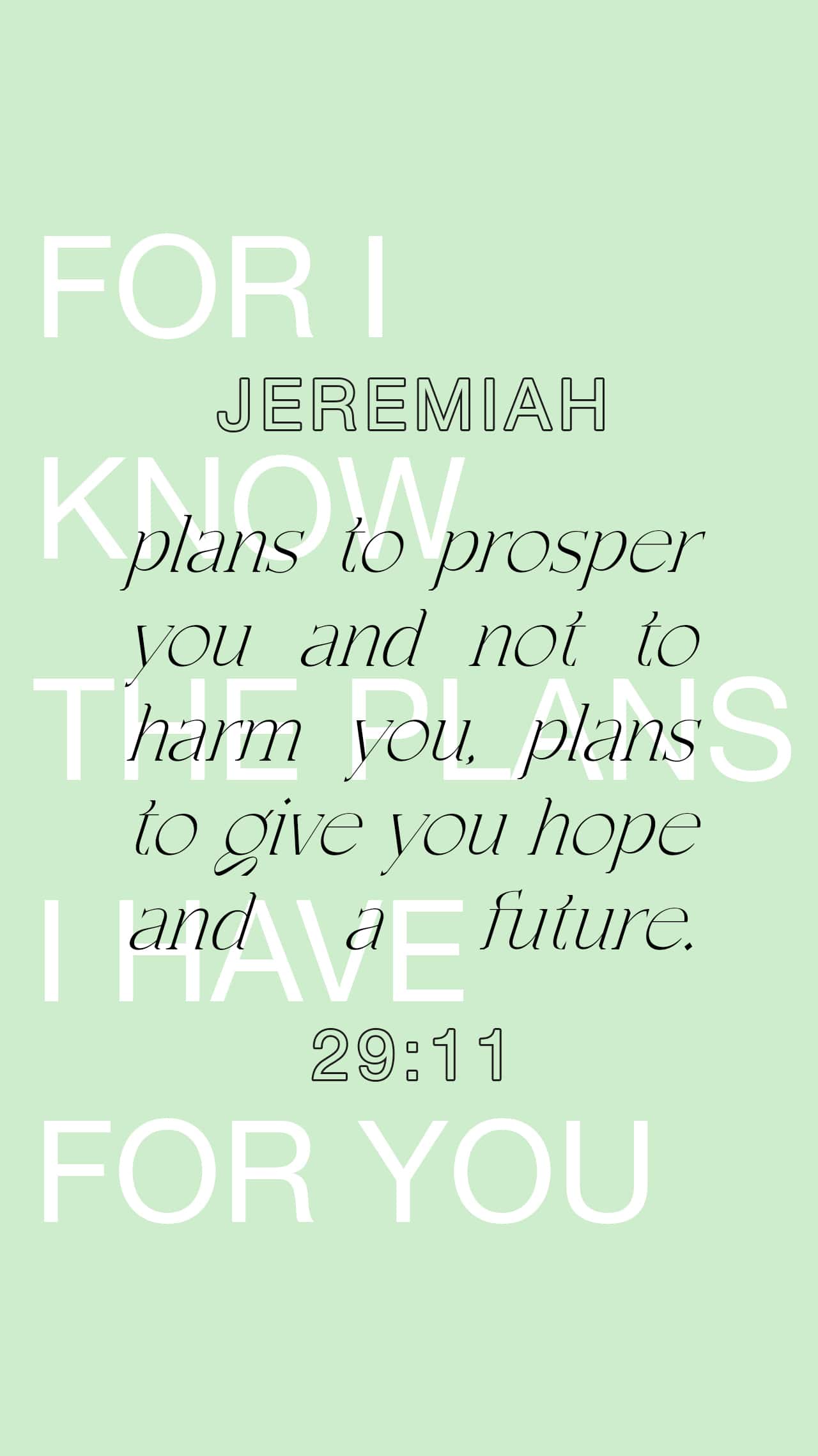 November 06 - Vertical