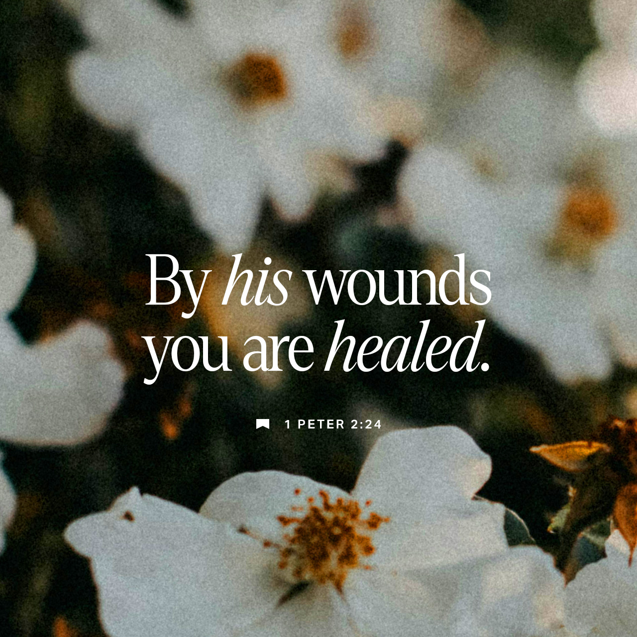 November 08 - Square