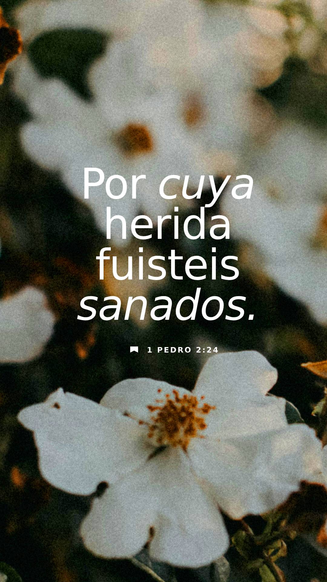 08 de noviembre - Vertical