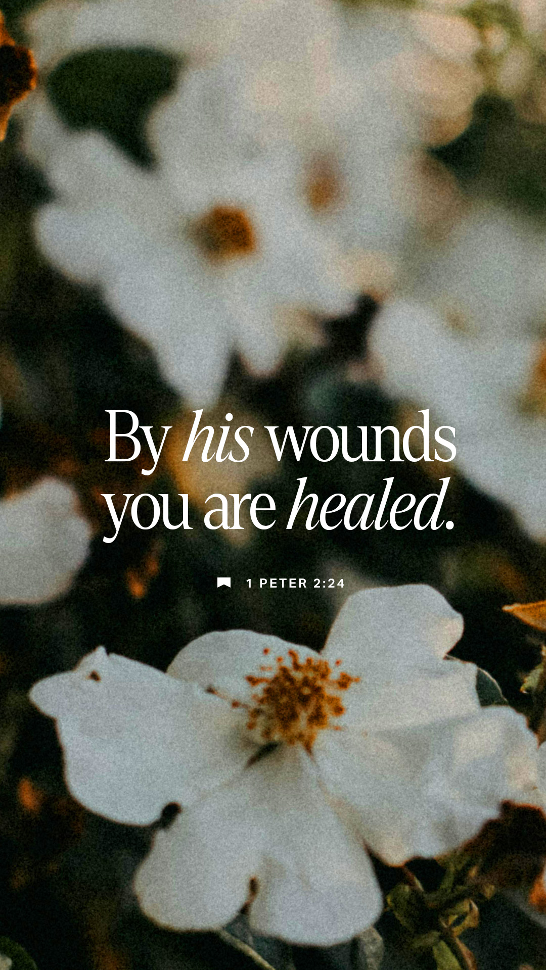 November 08 - Vertical