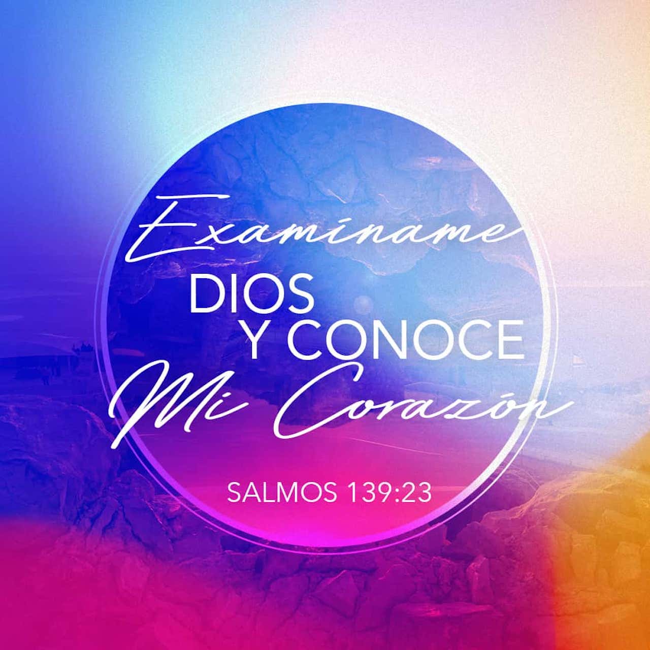 09 de noviembre - Plaza