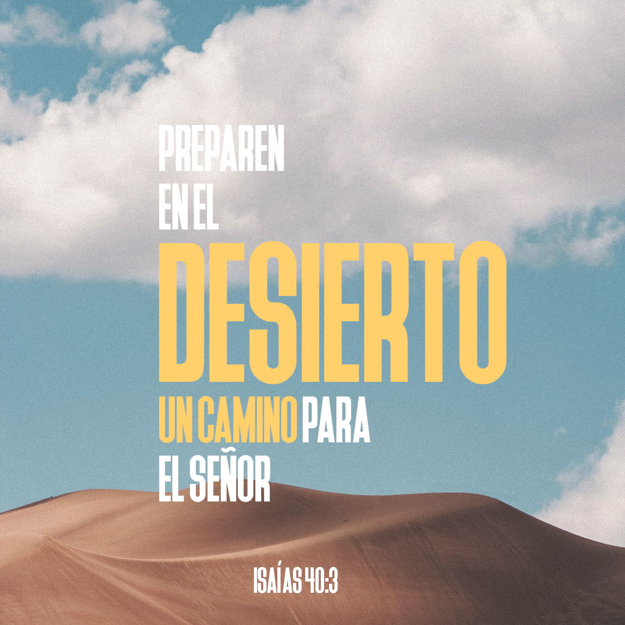 10 de noviembre - Plaza