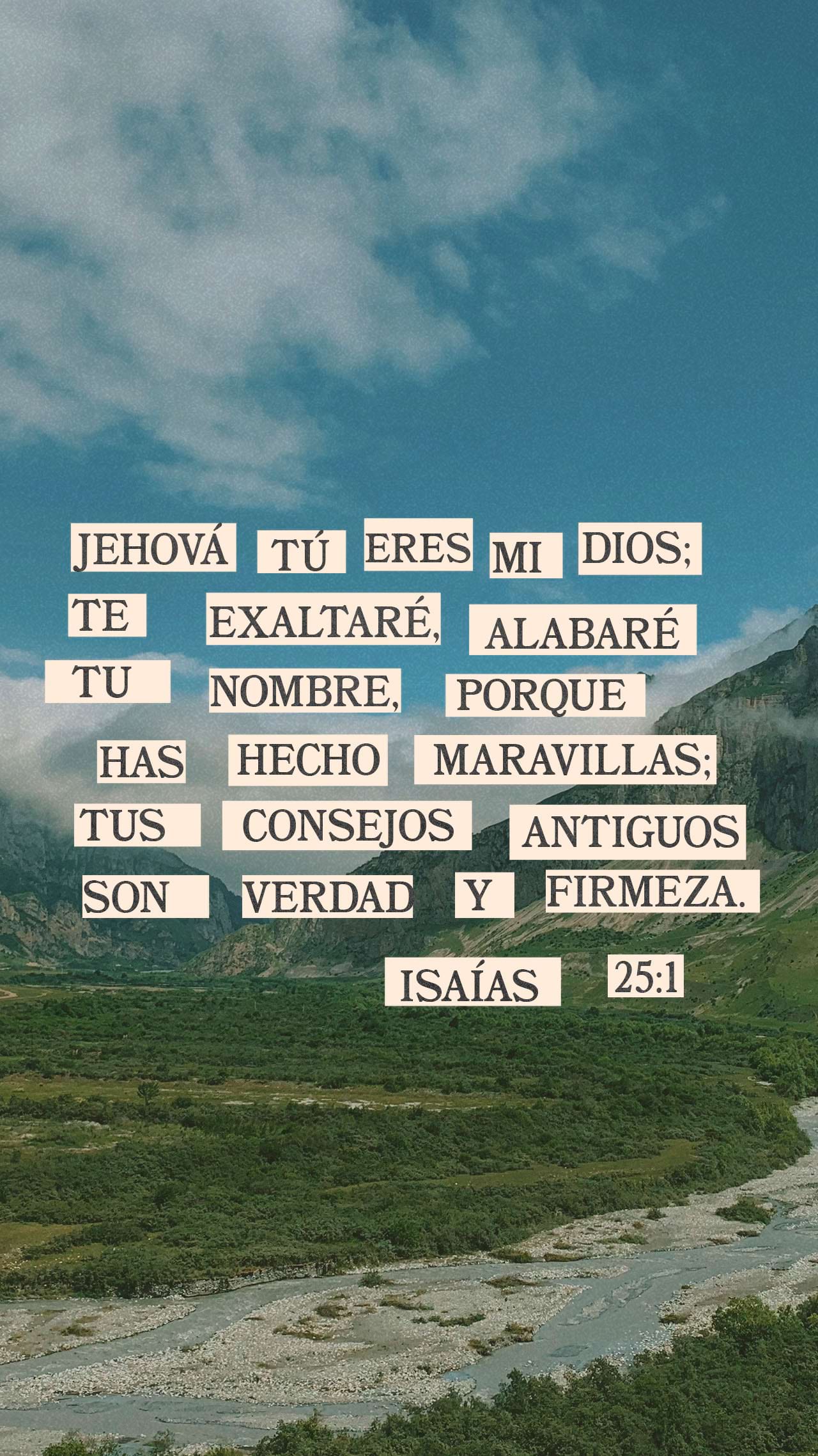 14 de noviembre - Vertical