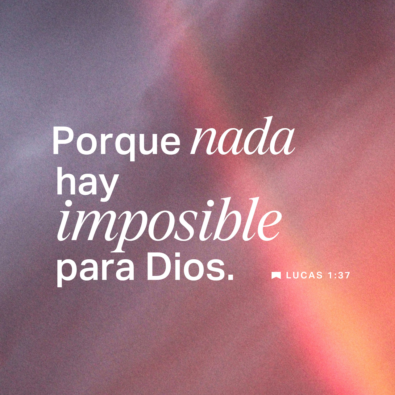 16 de noviembre - Plaza