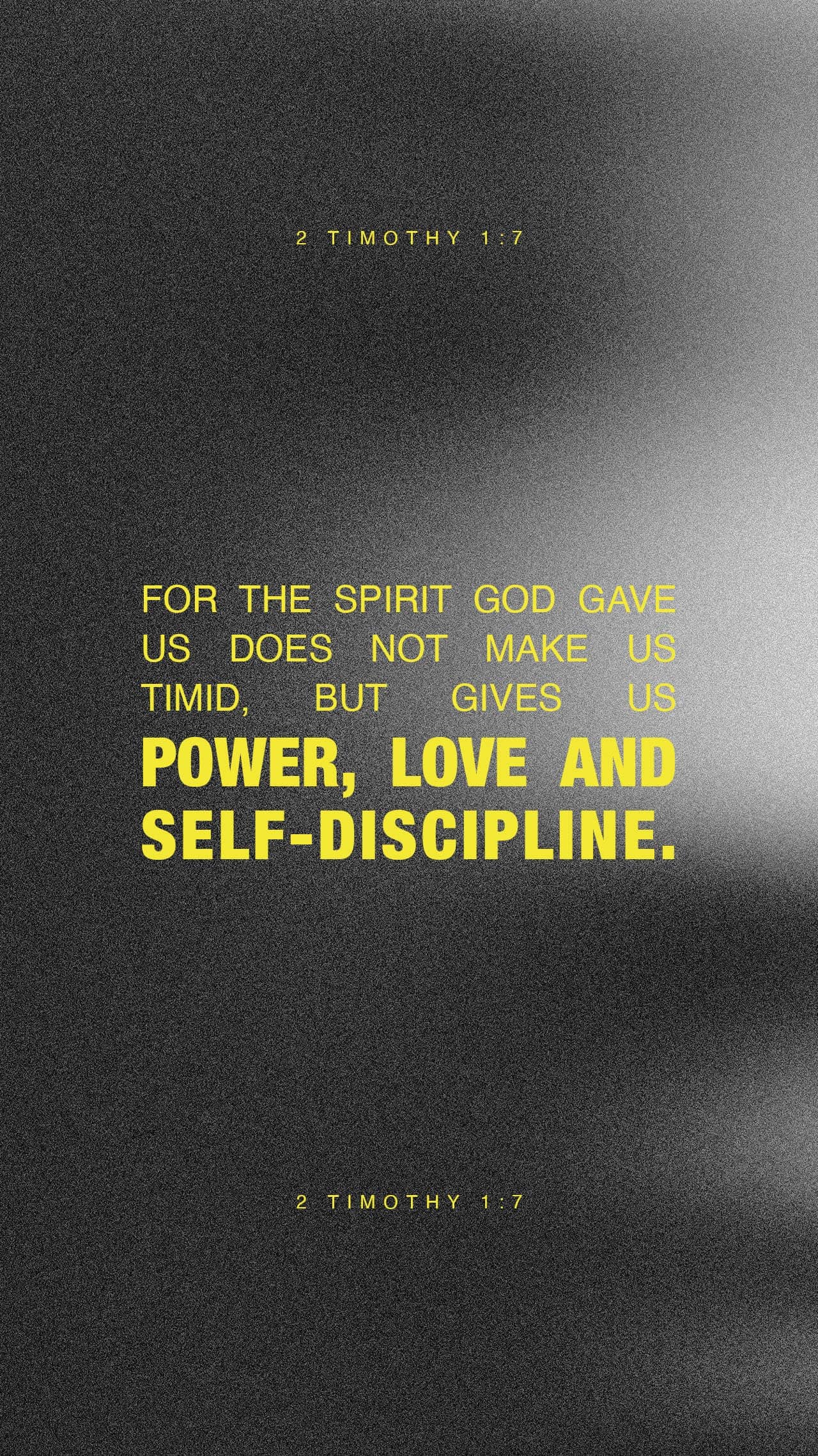 November 19 - Vertical