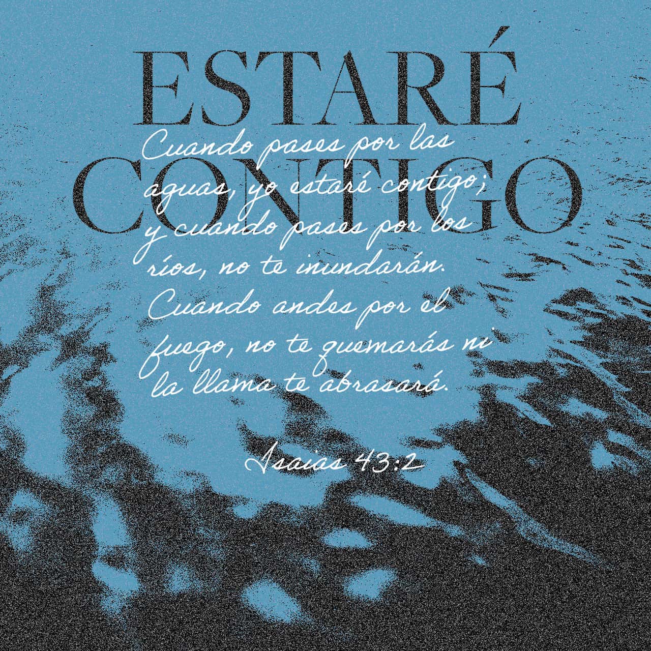 21 de noviembre - Plaza