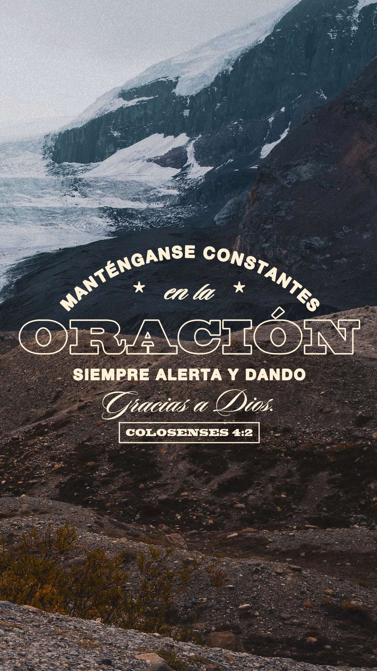 22 de noviembre - Vertical