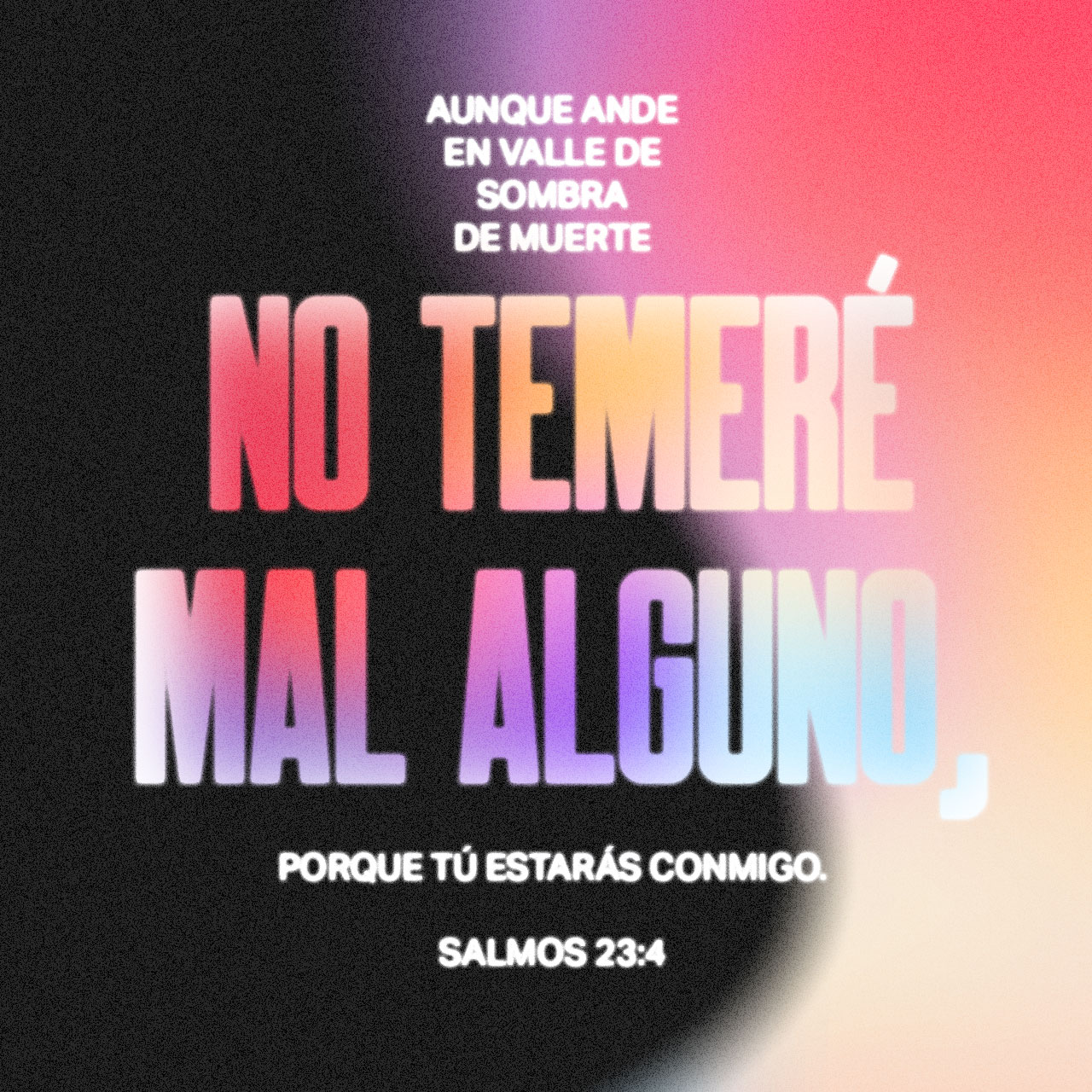 23 de noviembre - Plaza