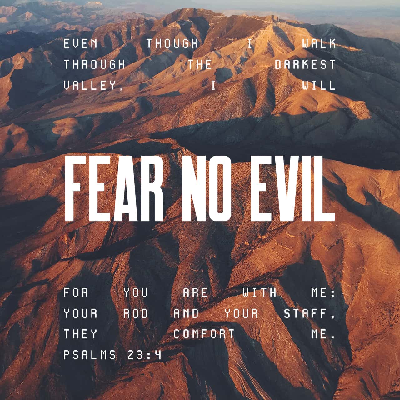 November 23 - Square