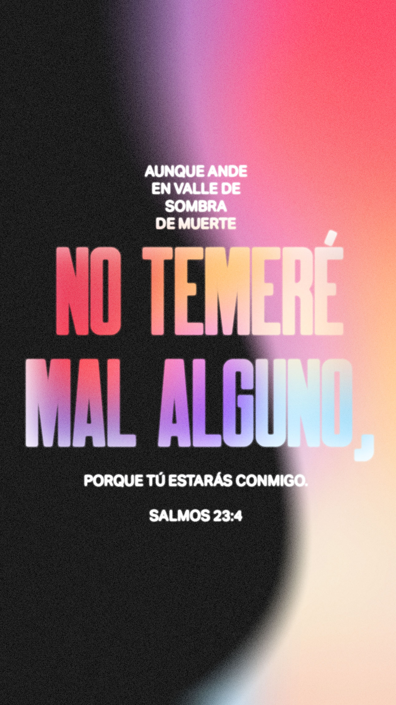 23 de noviembre - Vertical