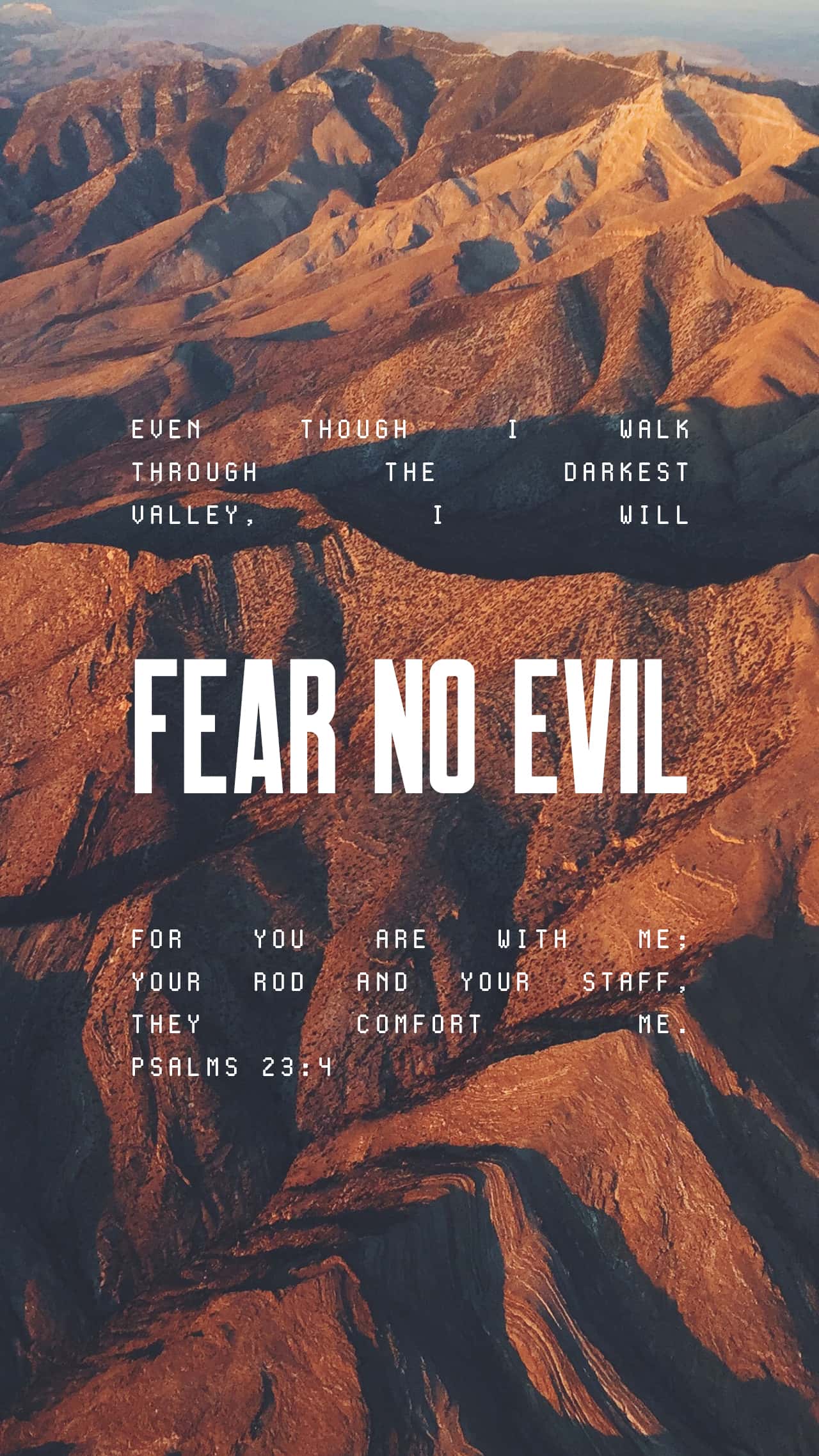 November 23 - Vertical