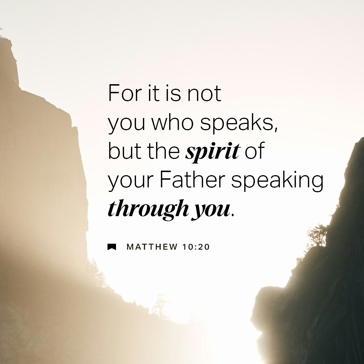 November 24 - Square