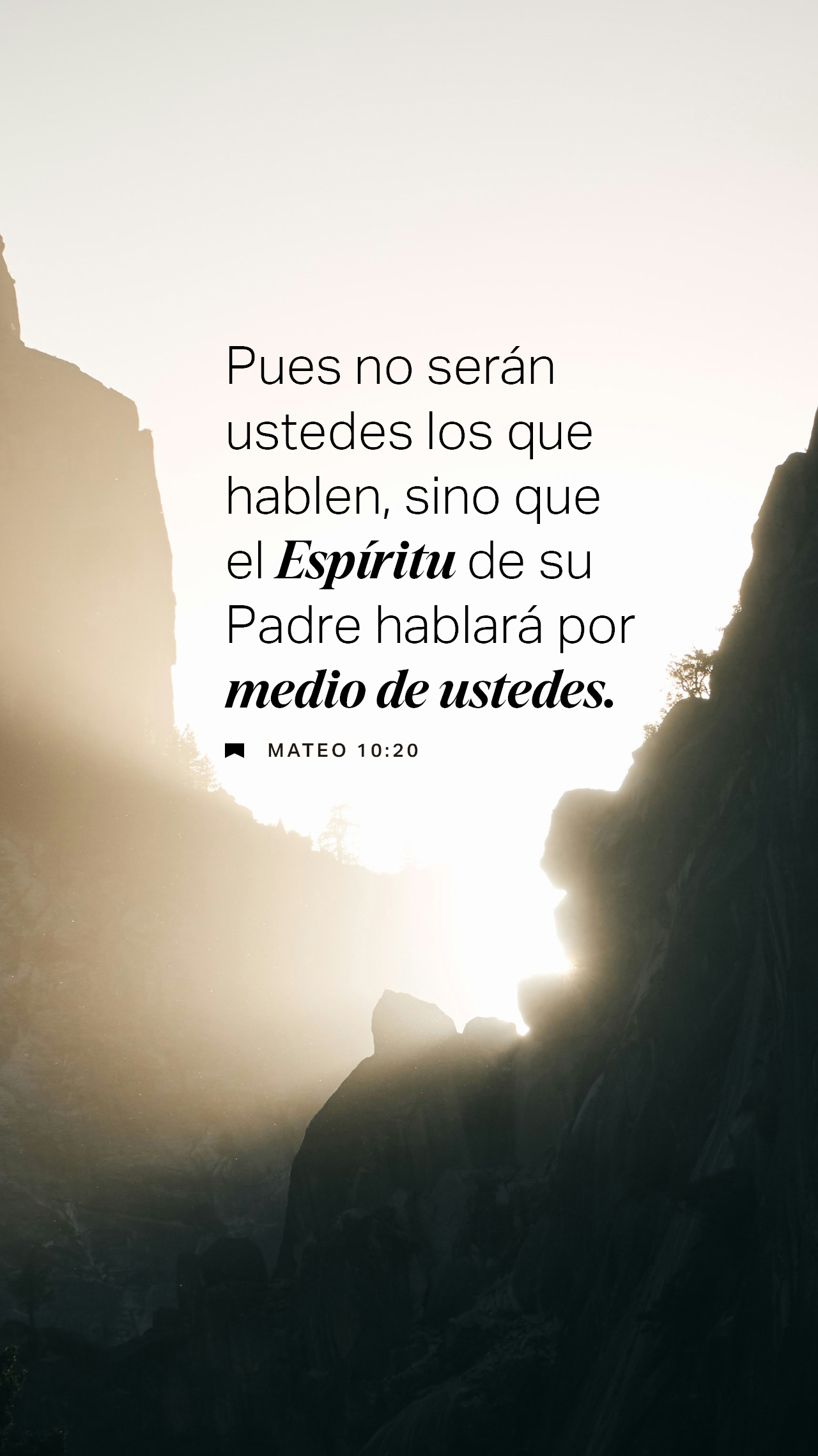 24 de noviembre - Vertical