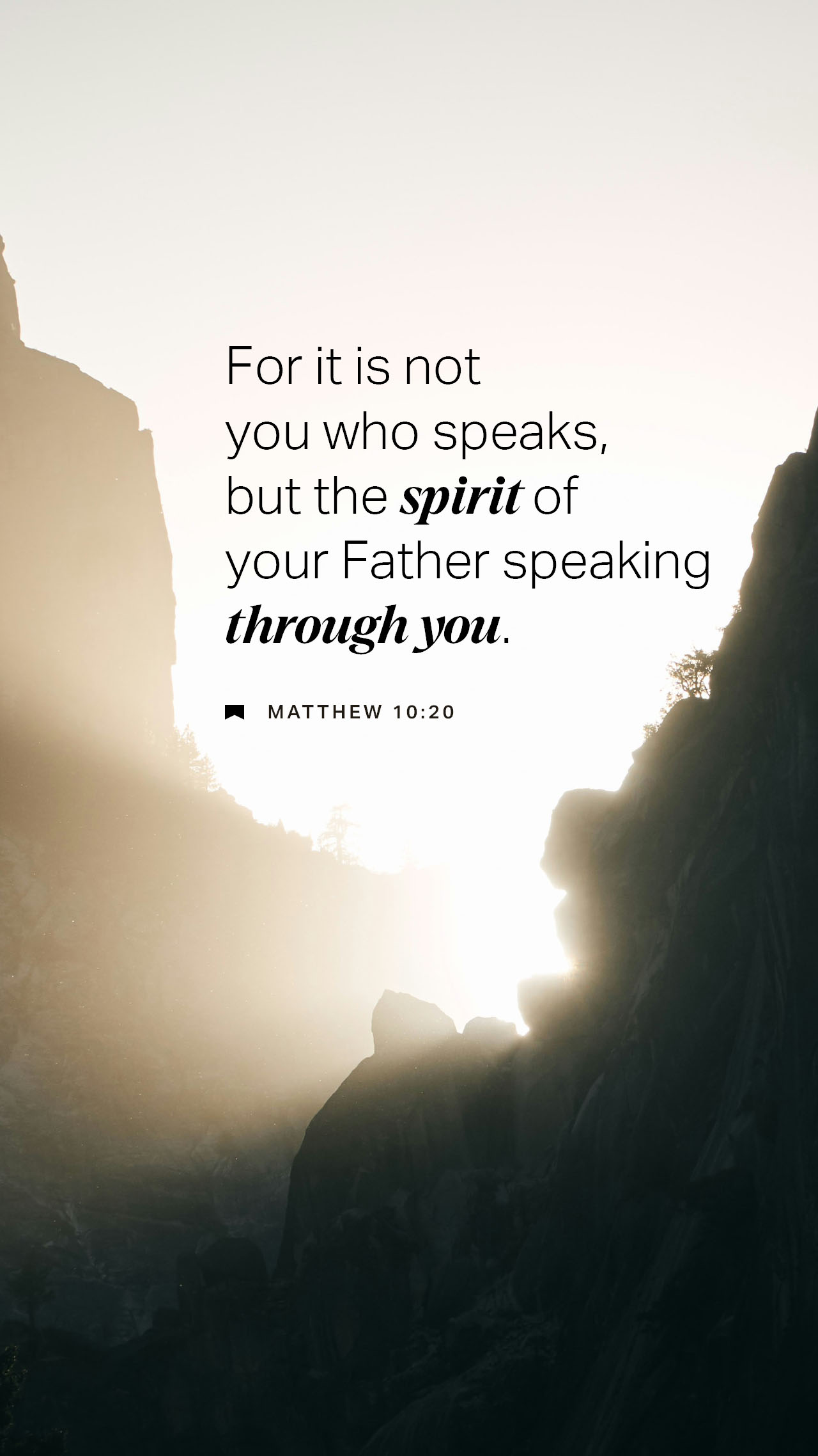 November 24 - Vertical