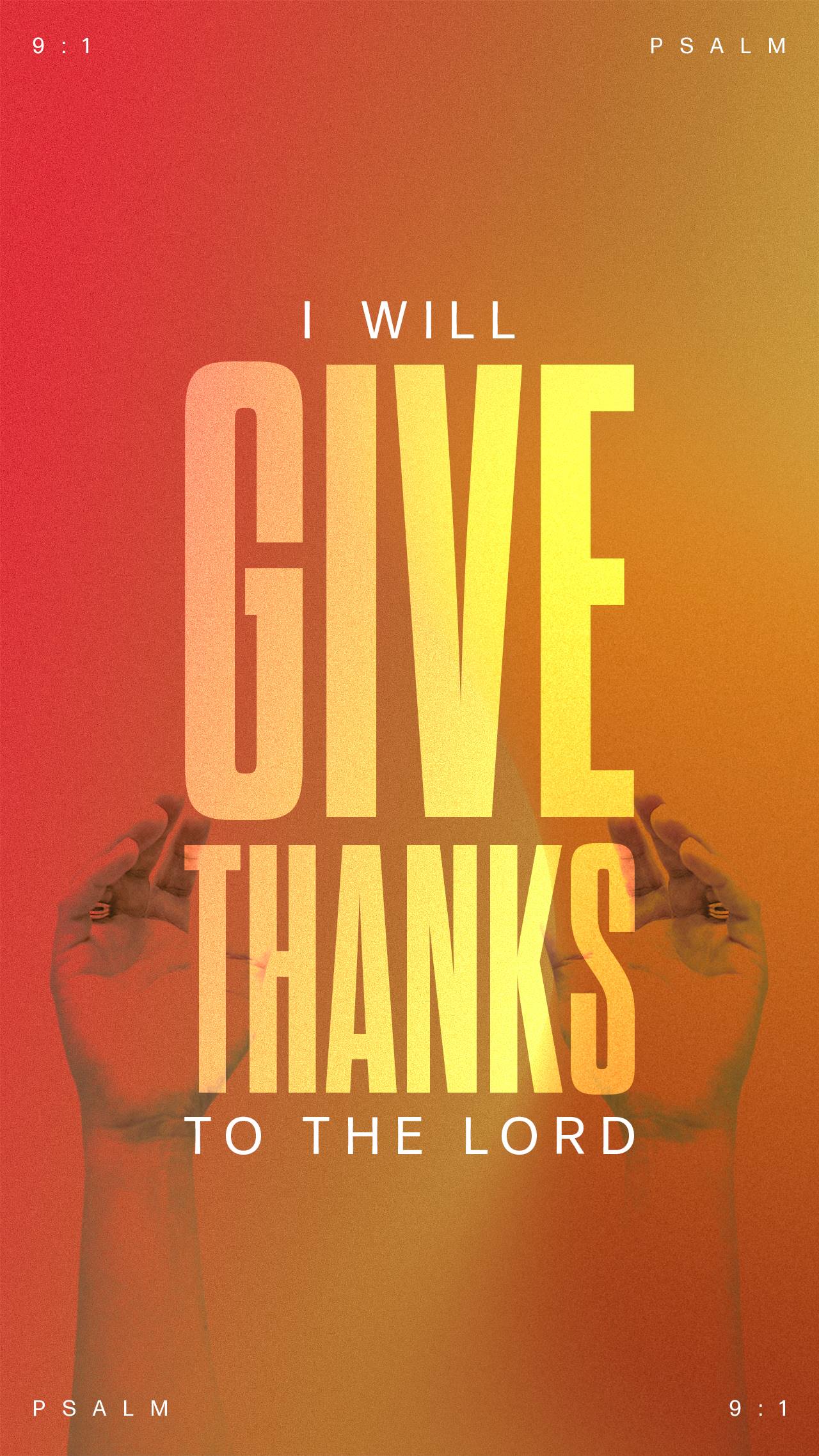 November 27 - Vertical