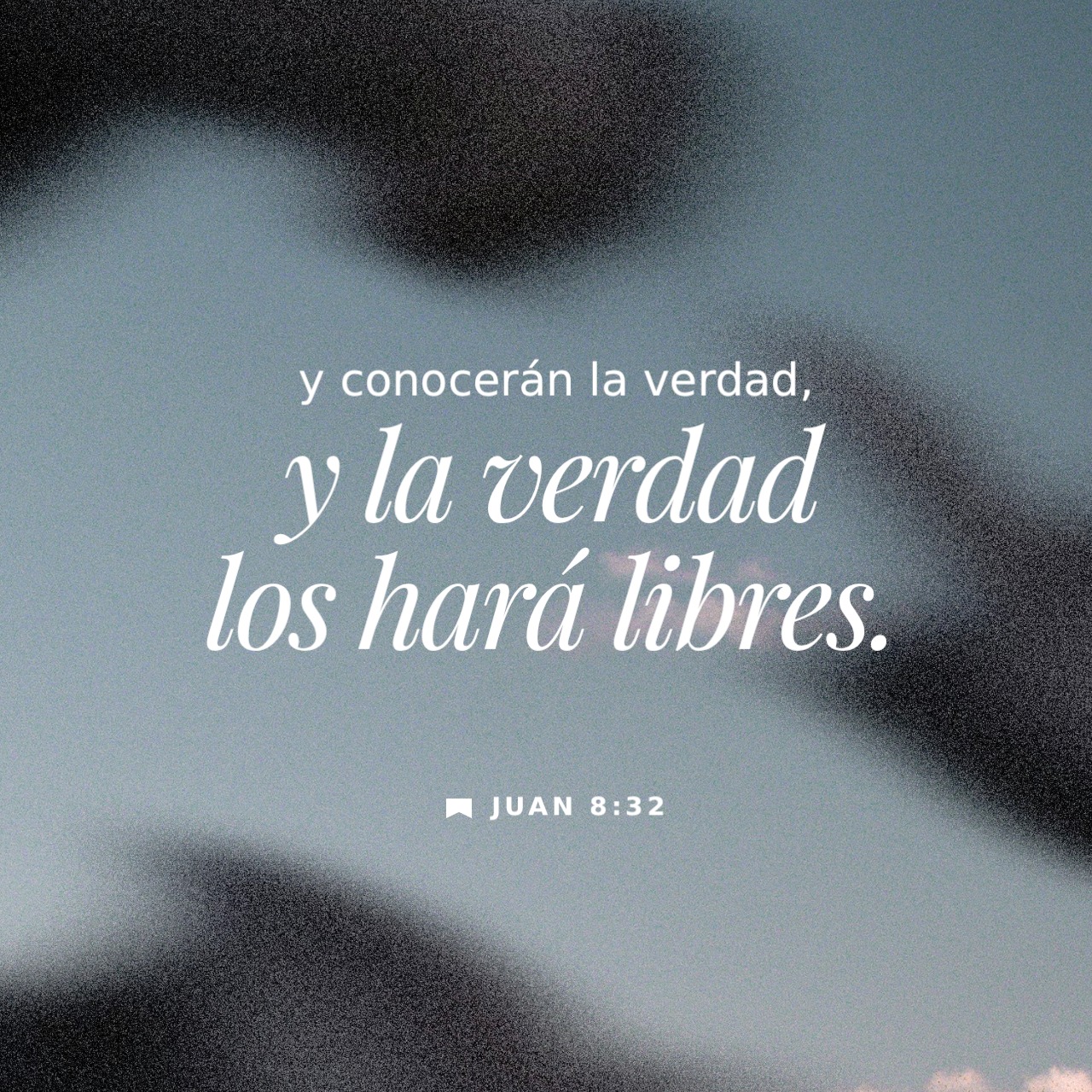 28 de noviembre - Plaza