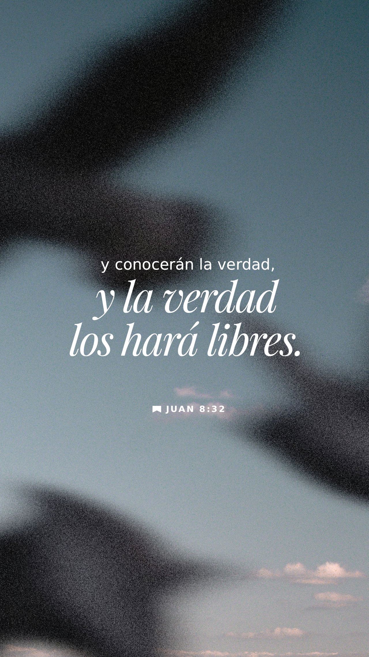 28 de noviembre - Vertical