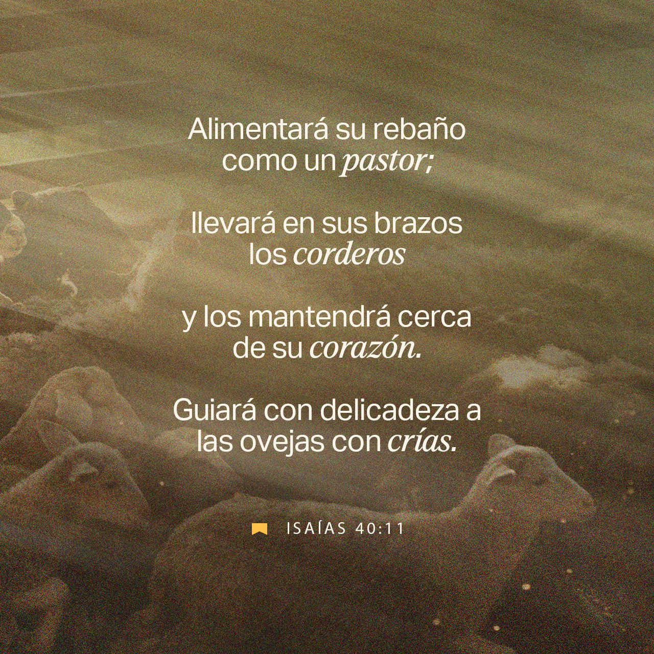 01 de octubre - Plaza