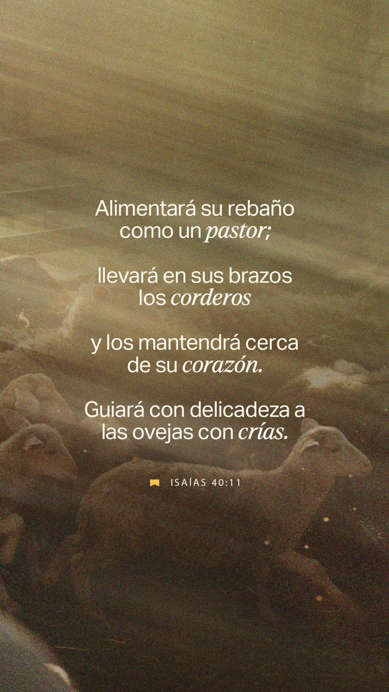 01 de octubre - Vertical