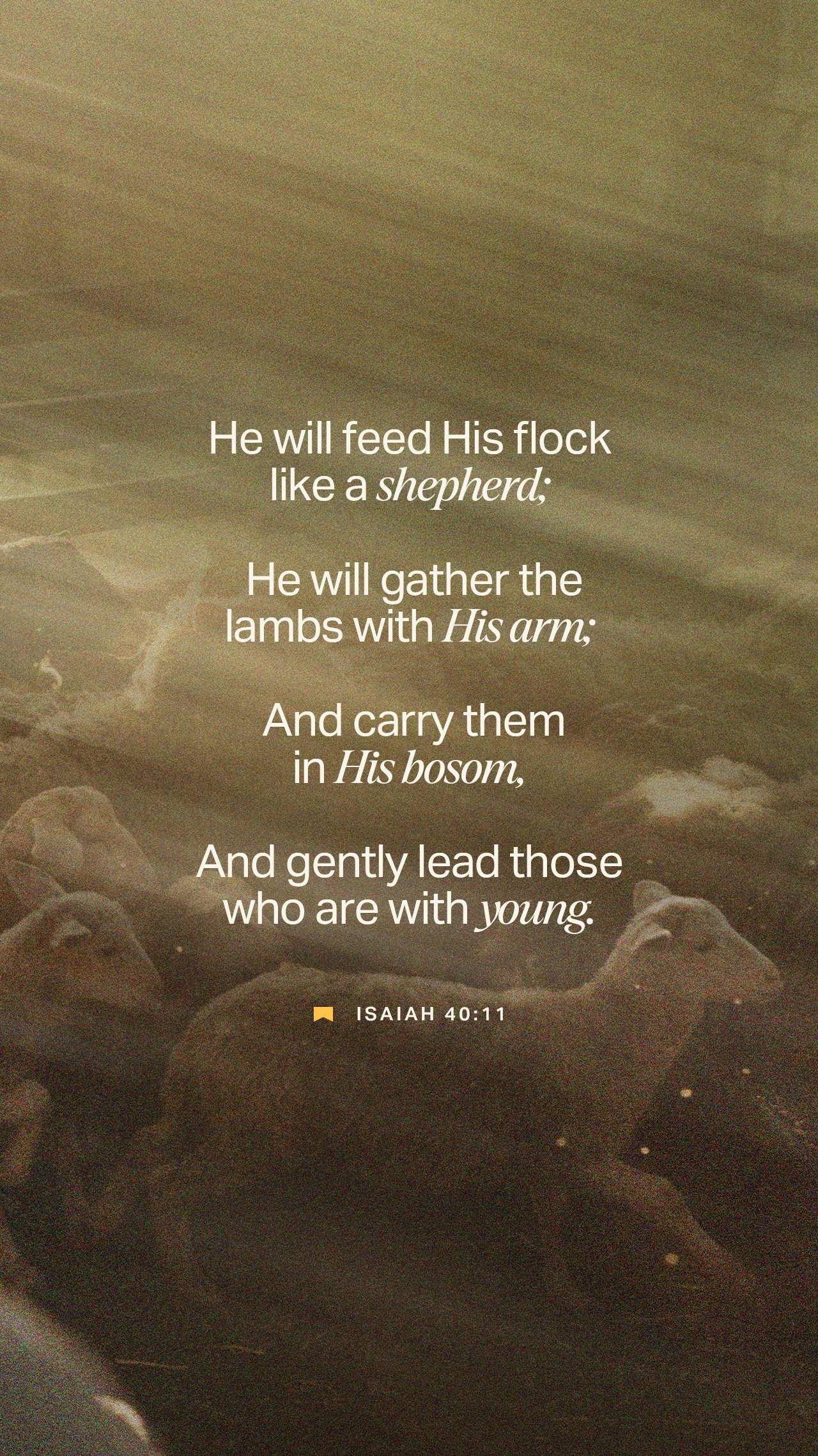 October 01 - Vertical