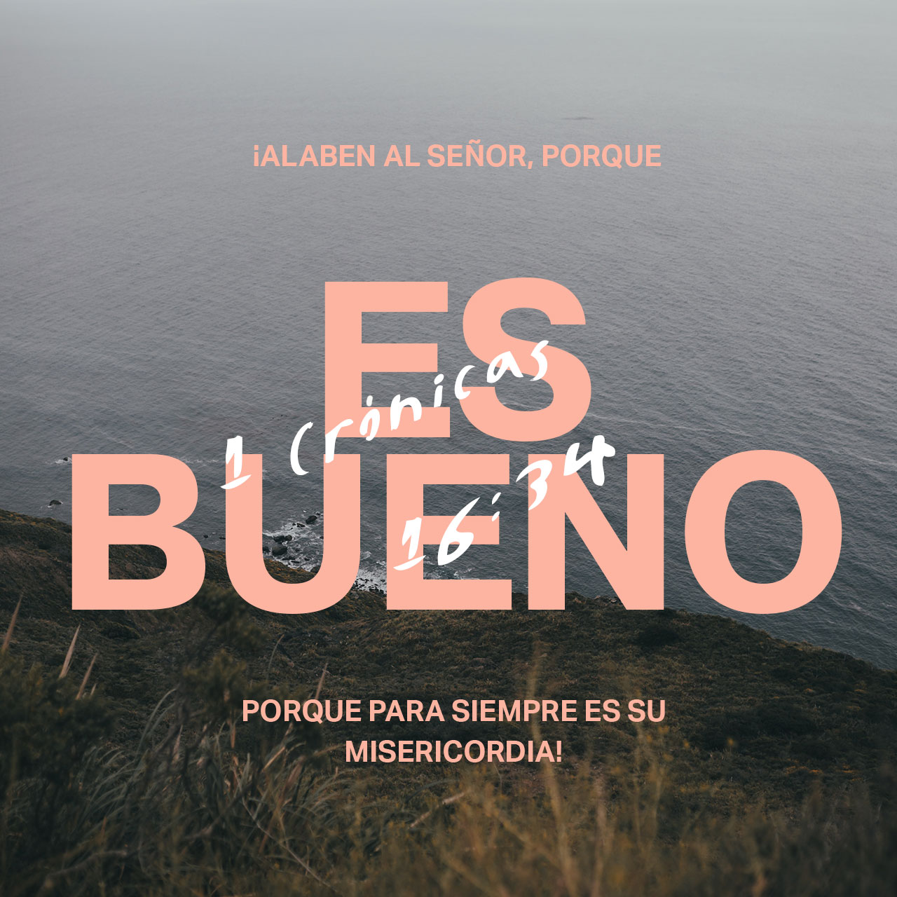 02 de octubre - Plaza